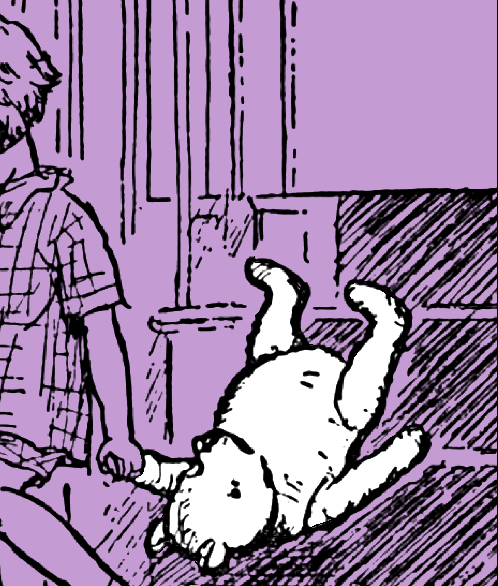 Example of Image within the Book