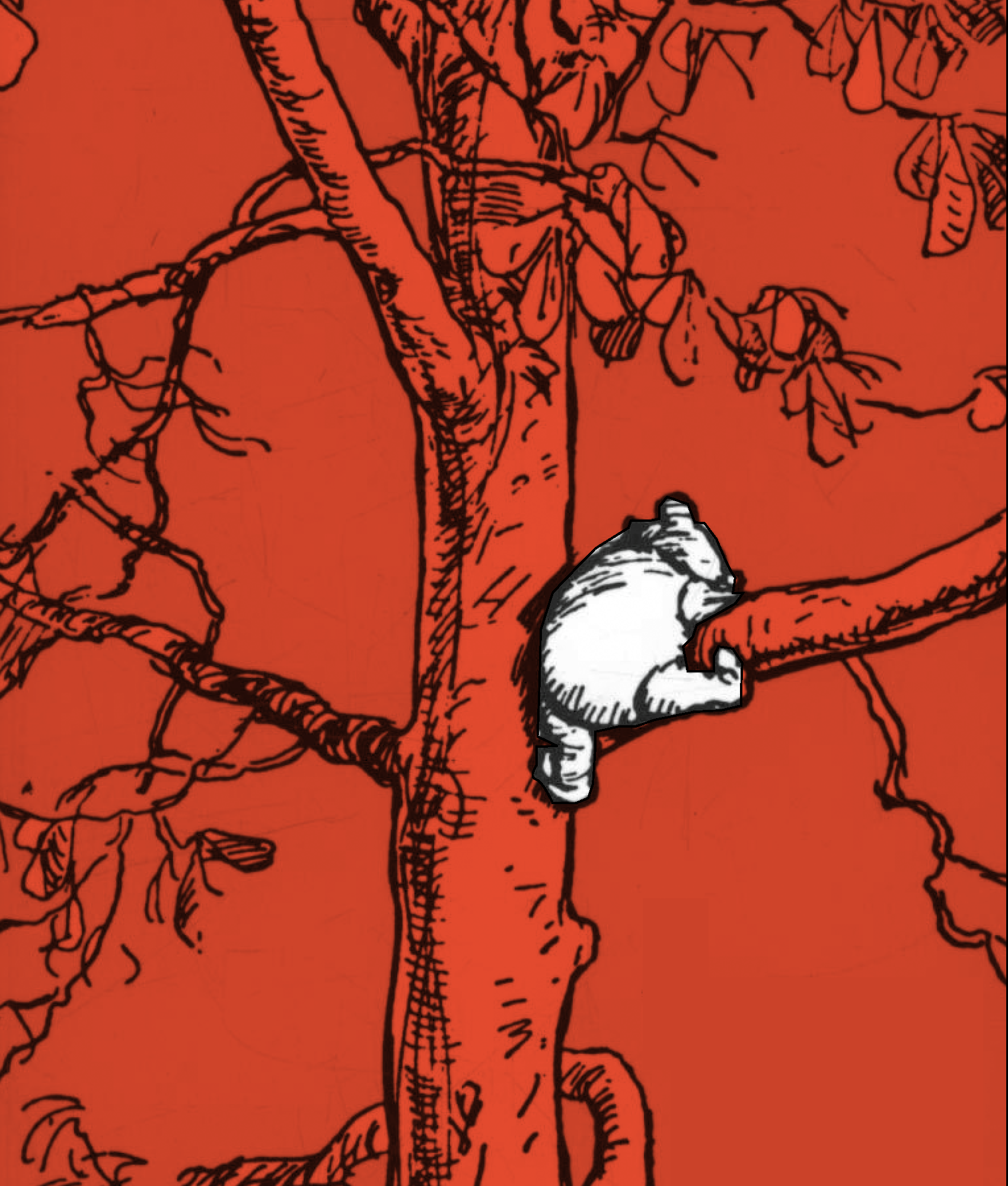 Example of Image within the book