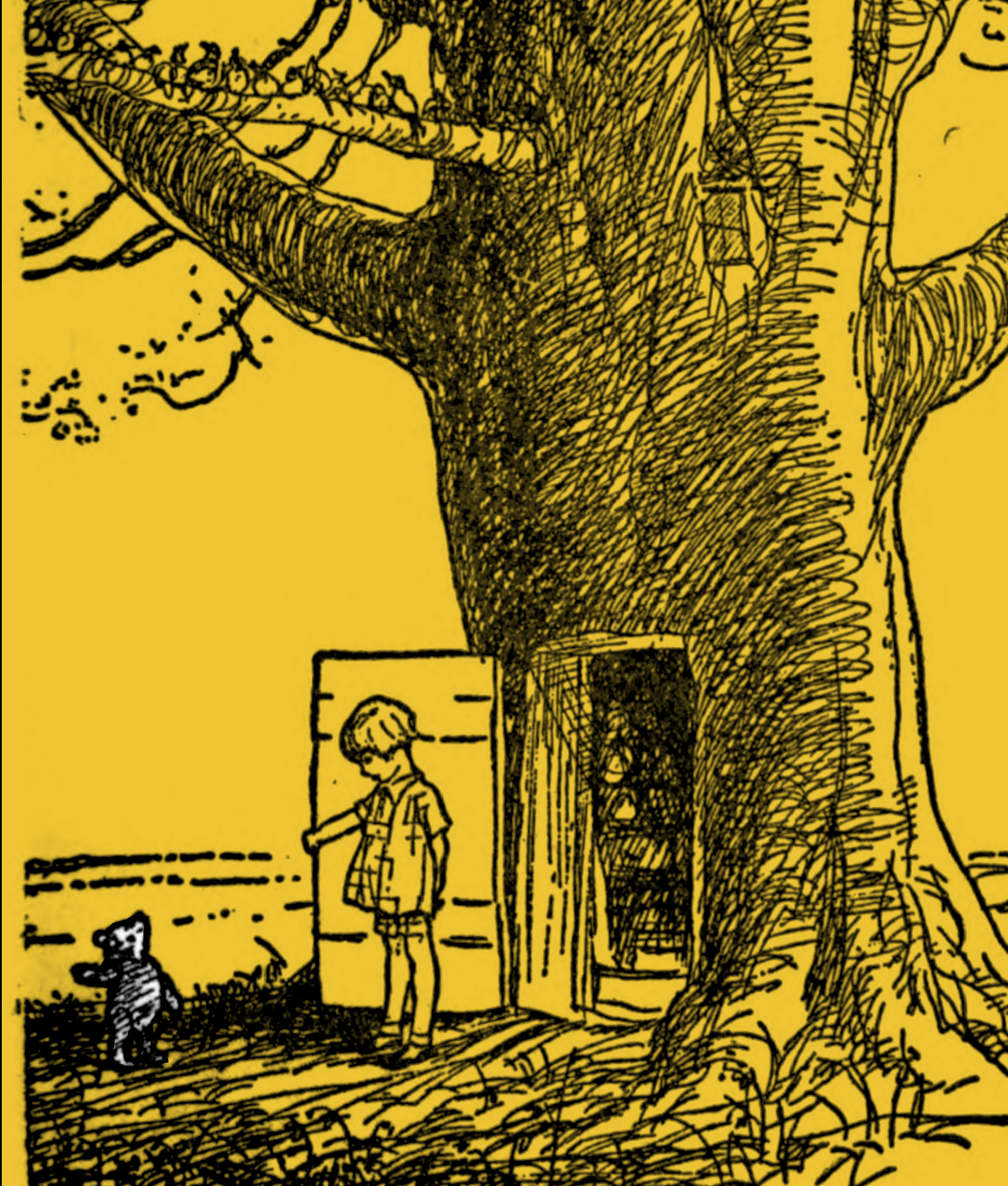Example of Image within the book