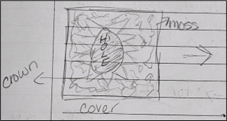Cover Sketch