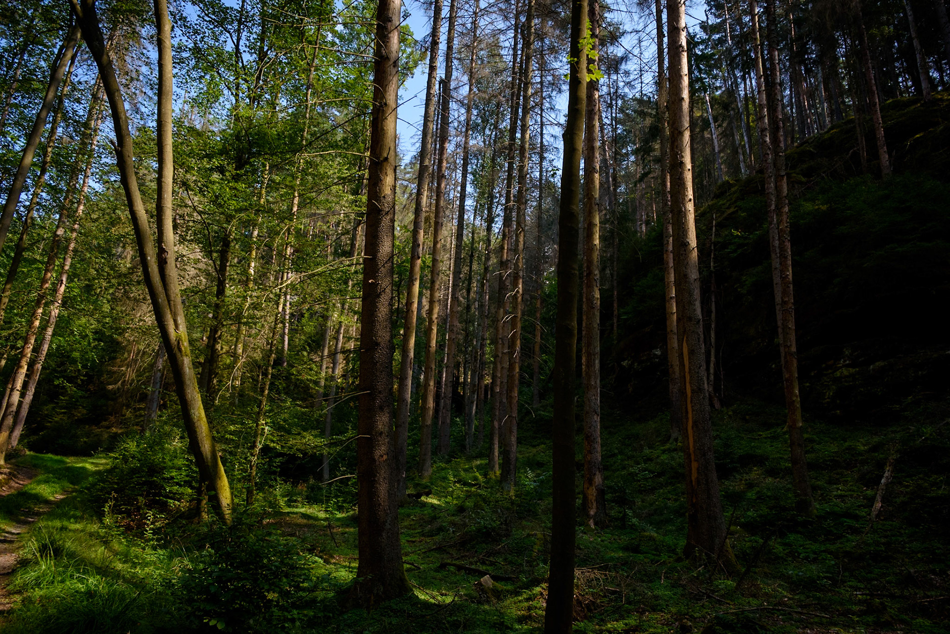 Bohemian Switzerland Park