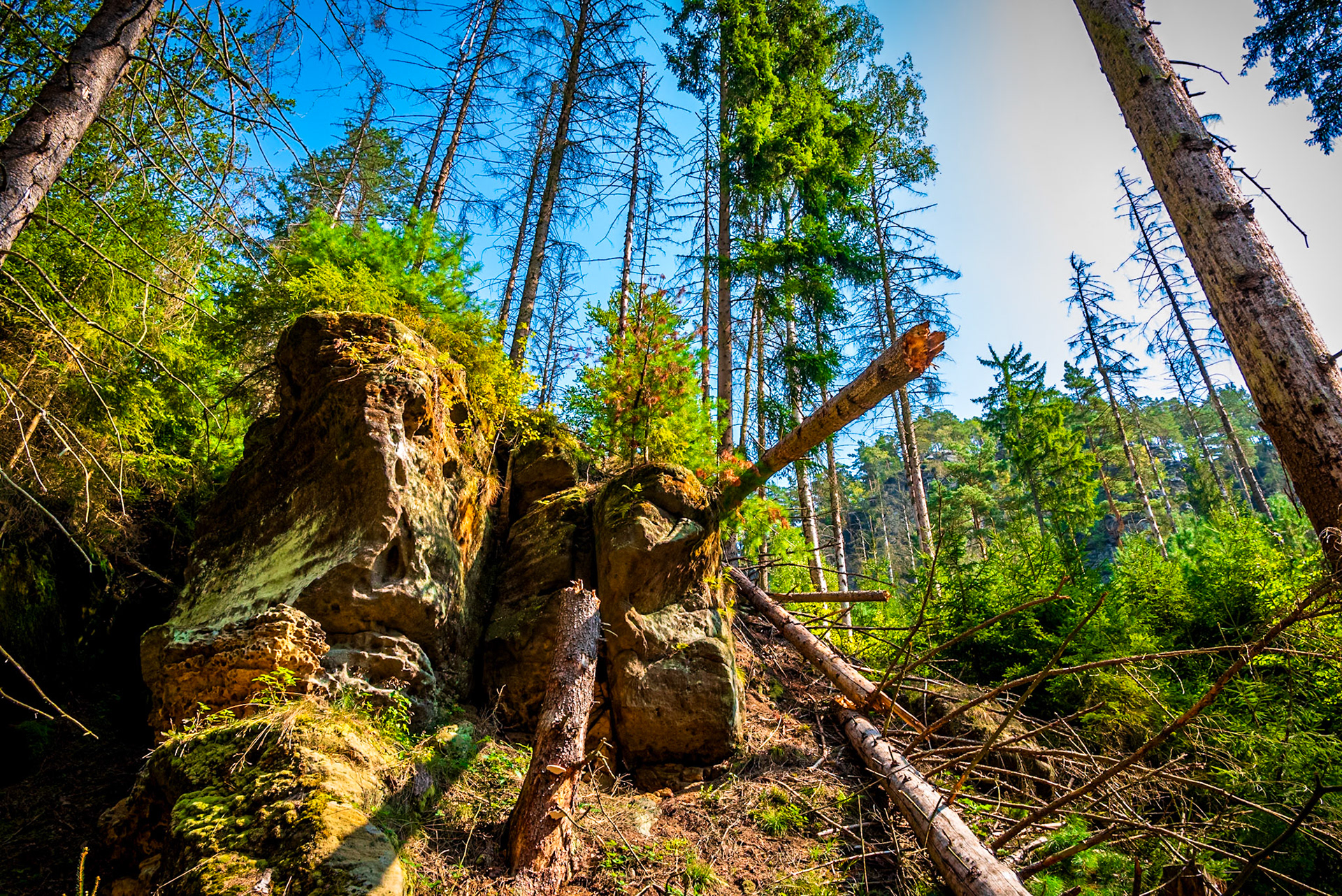 Bohemian Switzerland Park