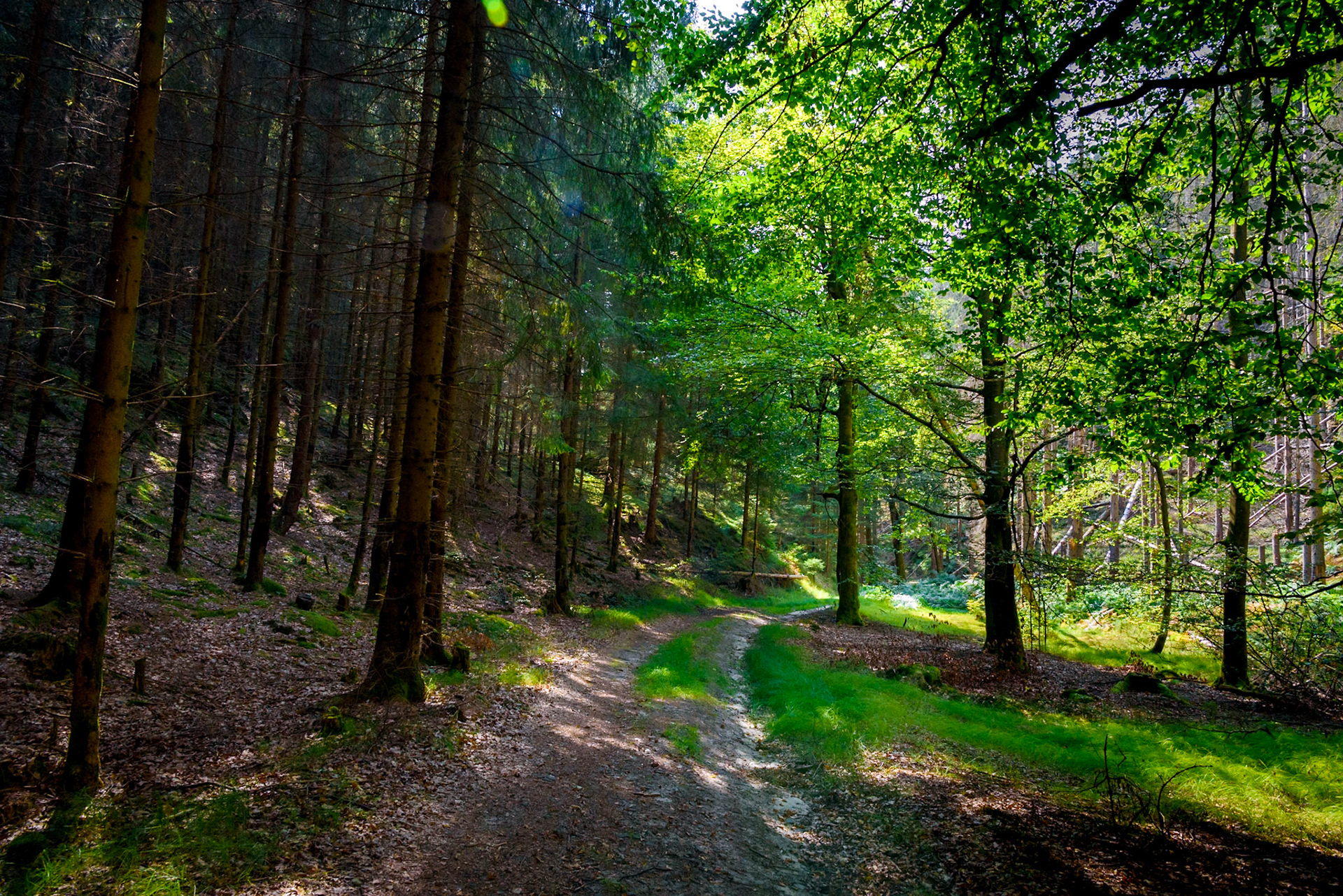 Bohemian Switzerland Park