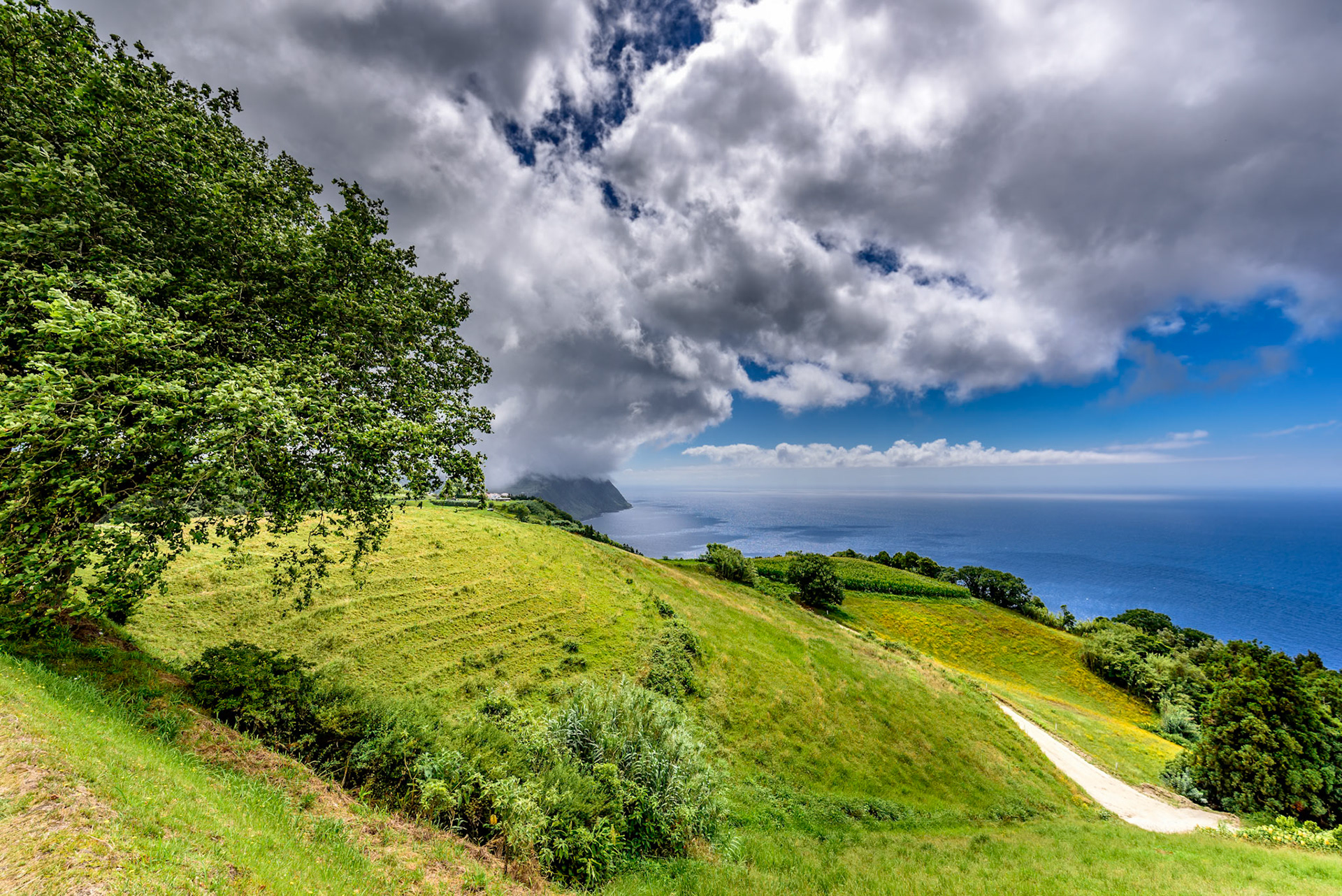 Foto von Thomas Schulze