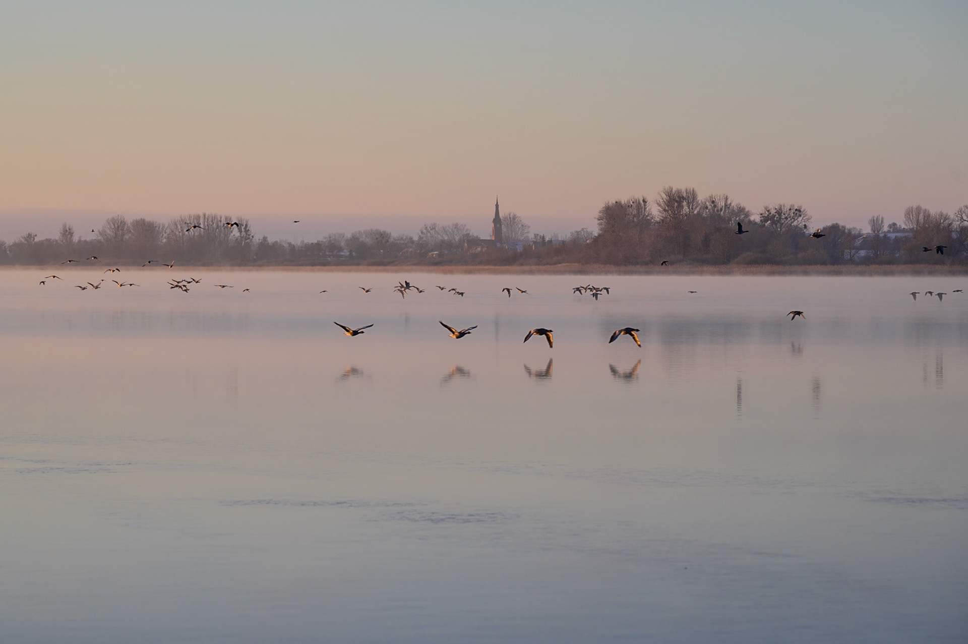 Ansicht aus Prenzlau