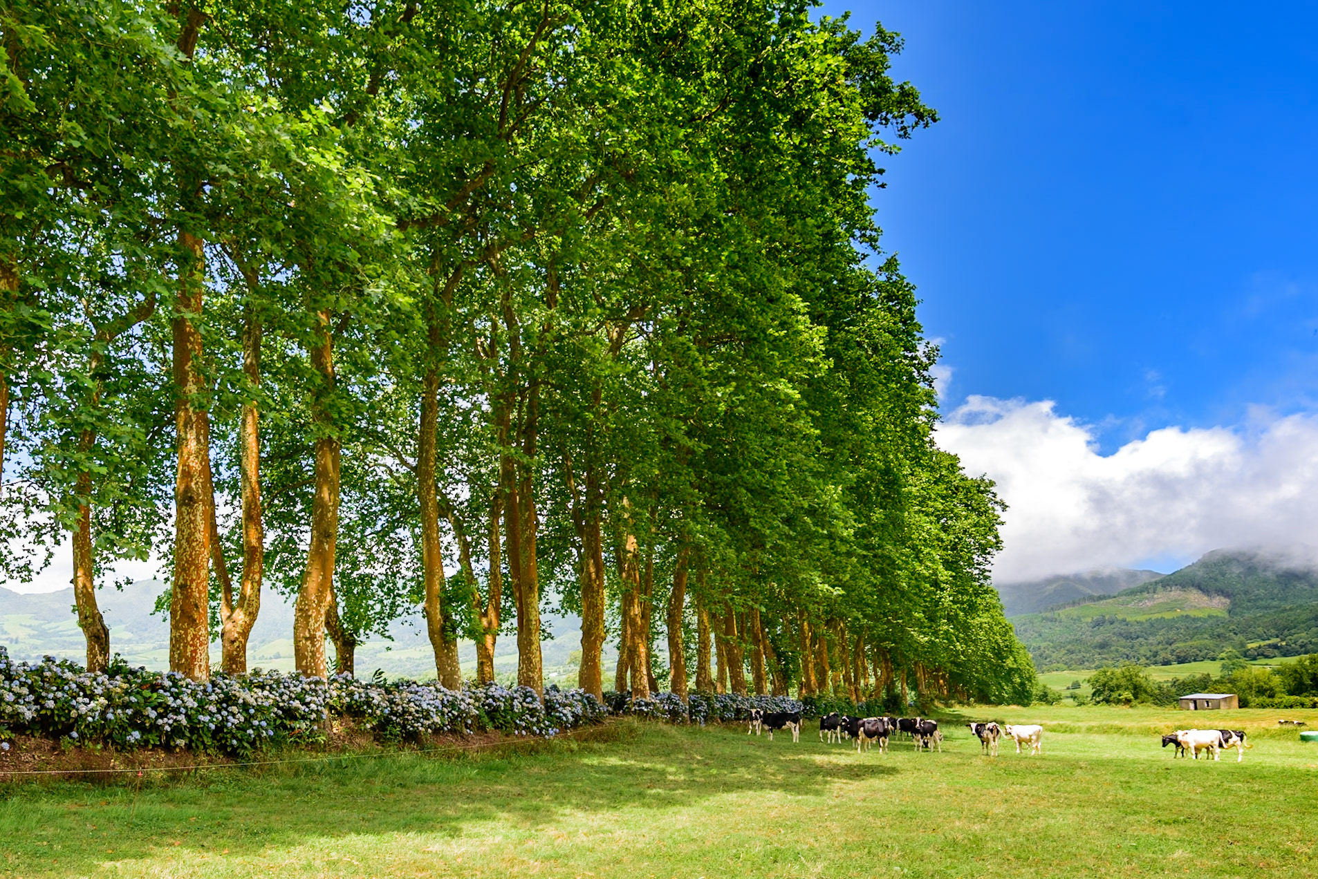 Foto von Thomas Schulze