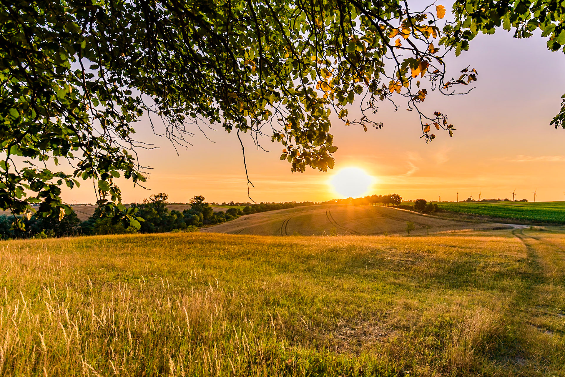 Uckermark bei Lützlow