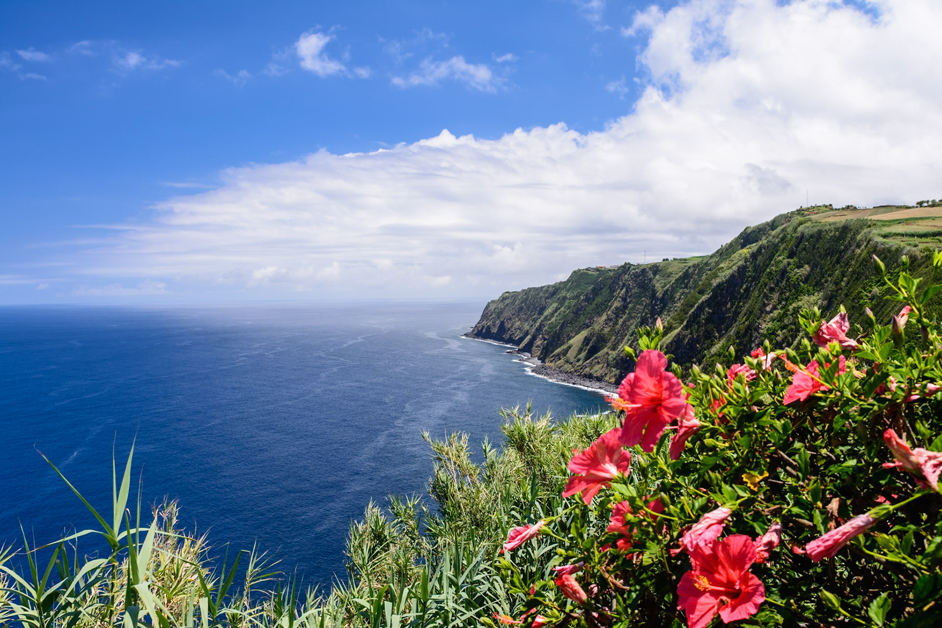 Nordküste Sao Miguel (Azoren)