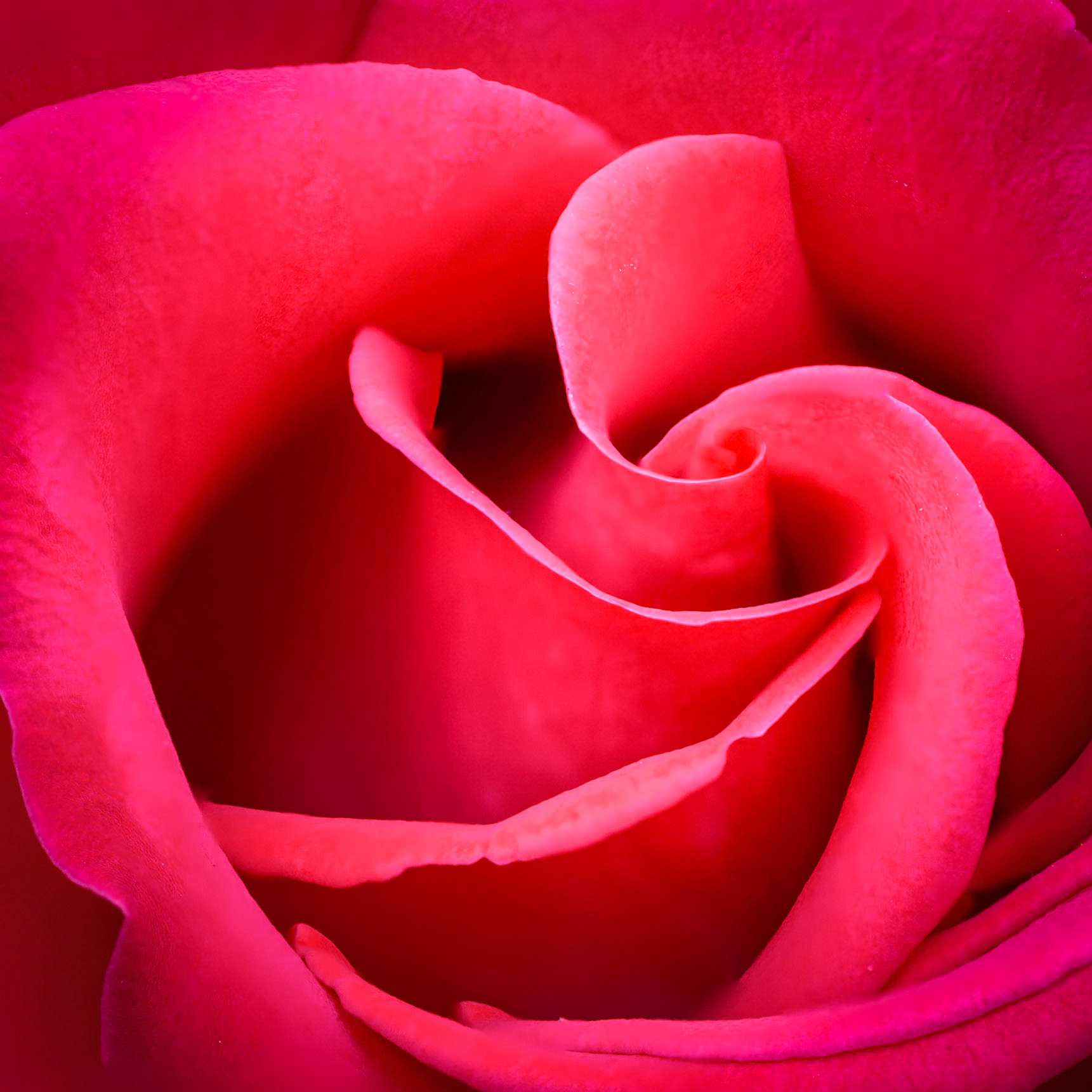 Foto von Thomas Schulze