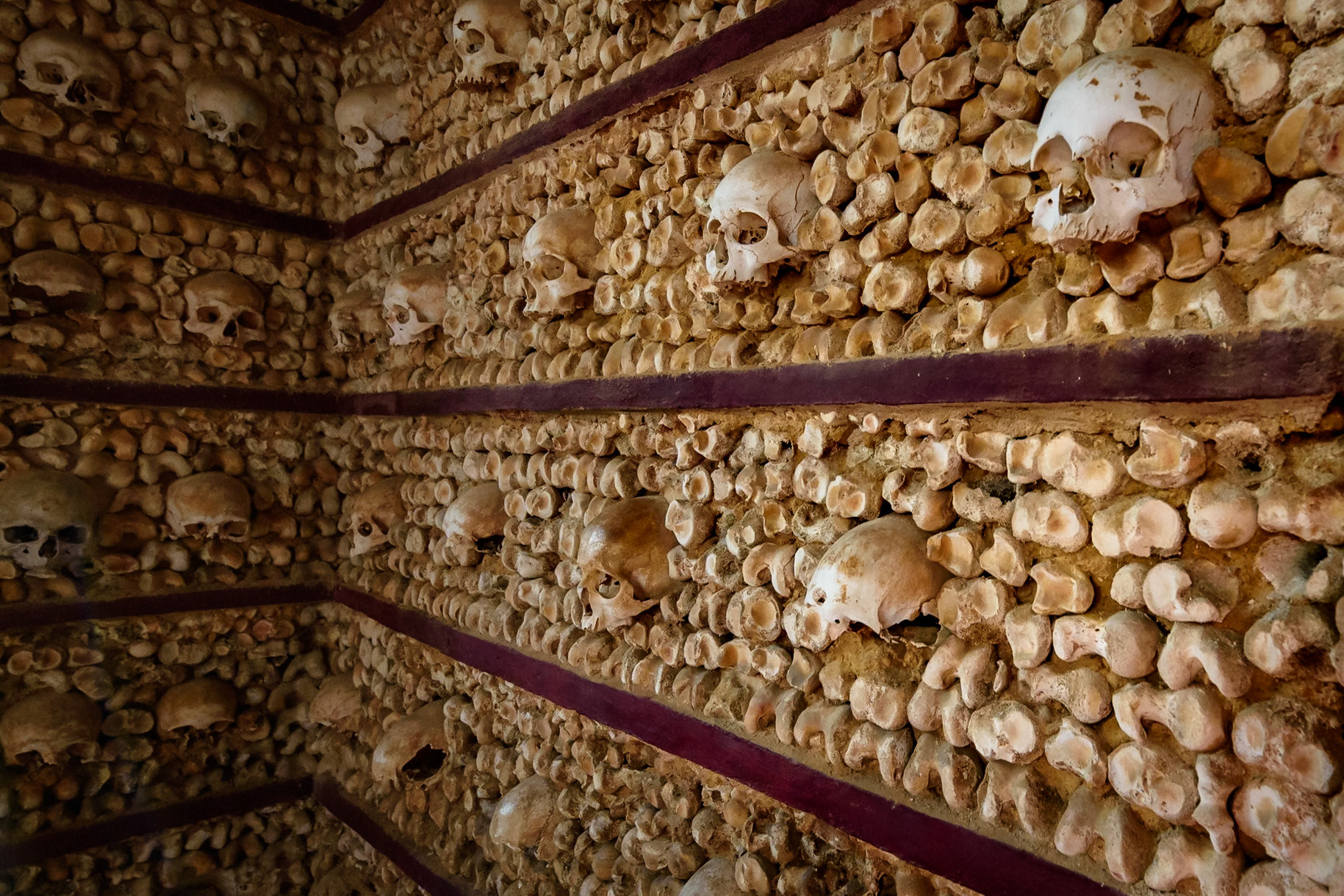 Foto von Thomas Schulze