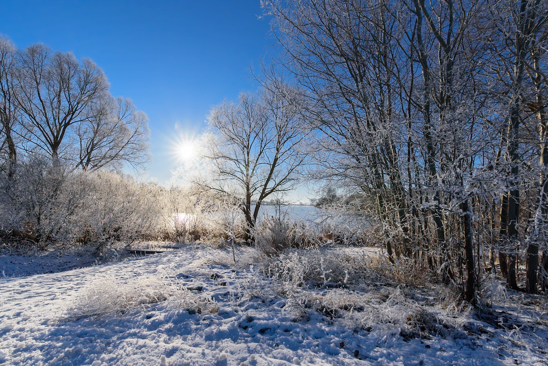 Foto von Thomas Schulze