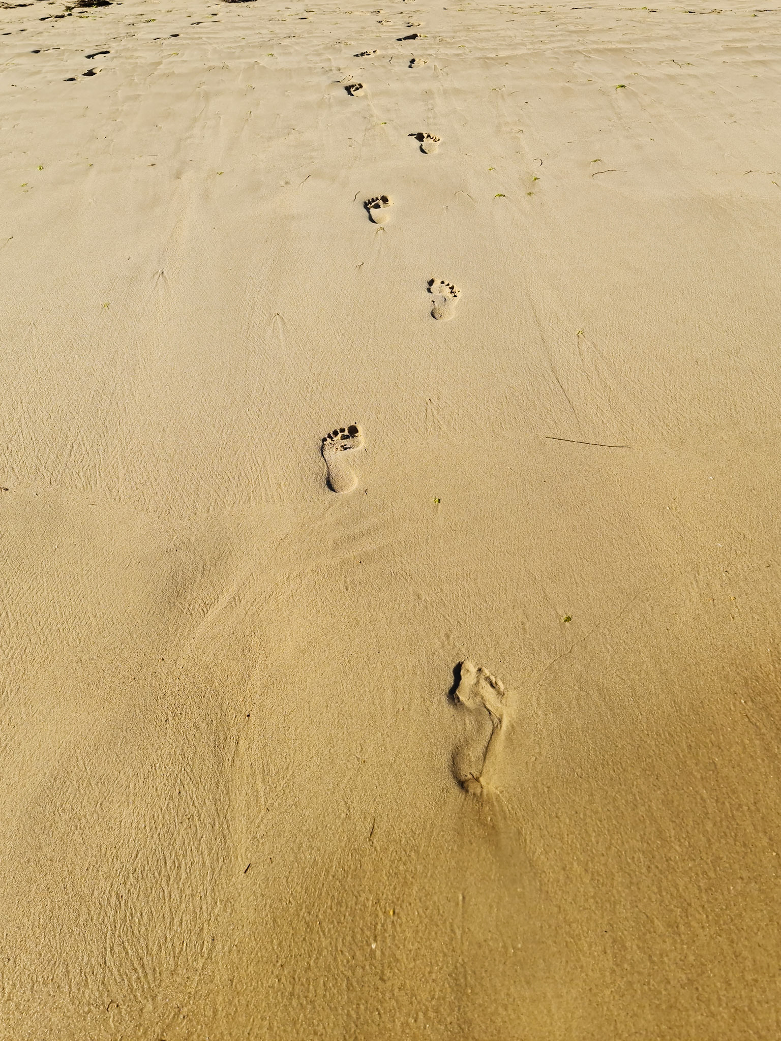 Foto von Thomas Schulze