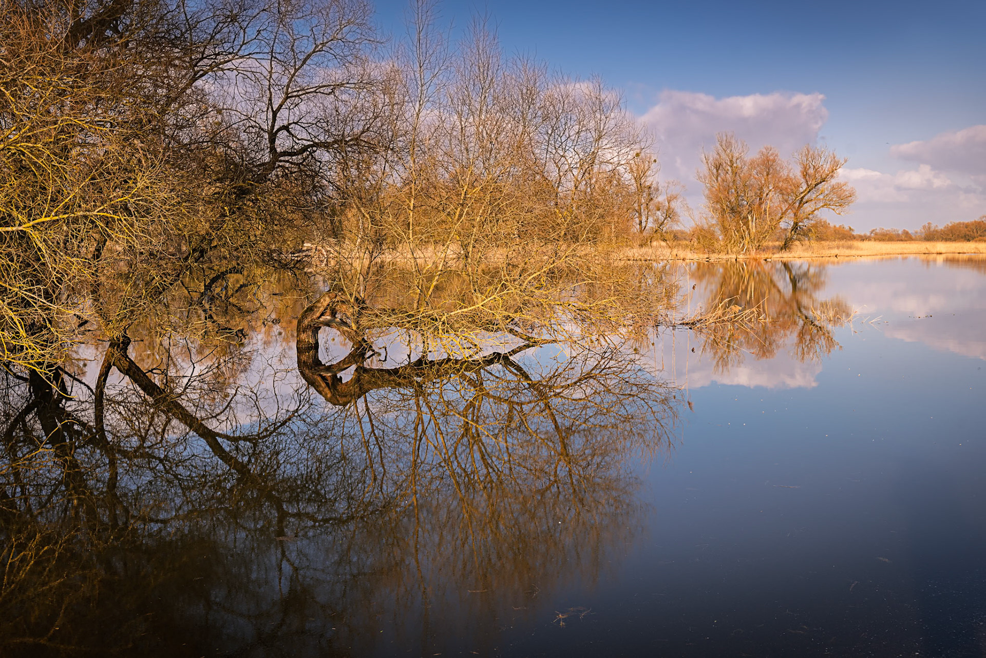 Nationalpark Unteres Odertal