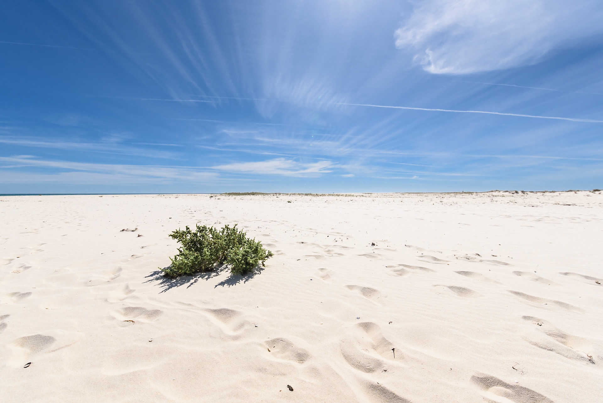 Foto von Thomas Schulze