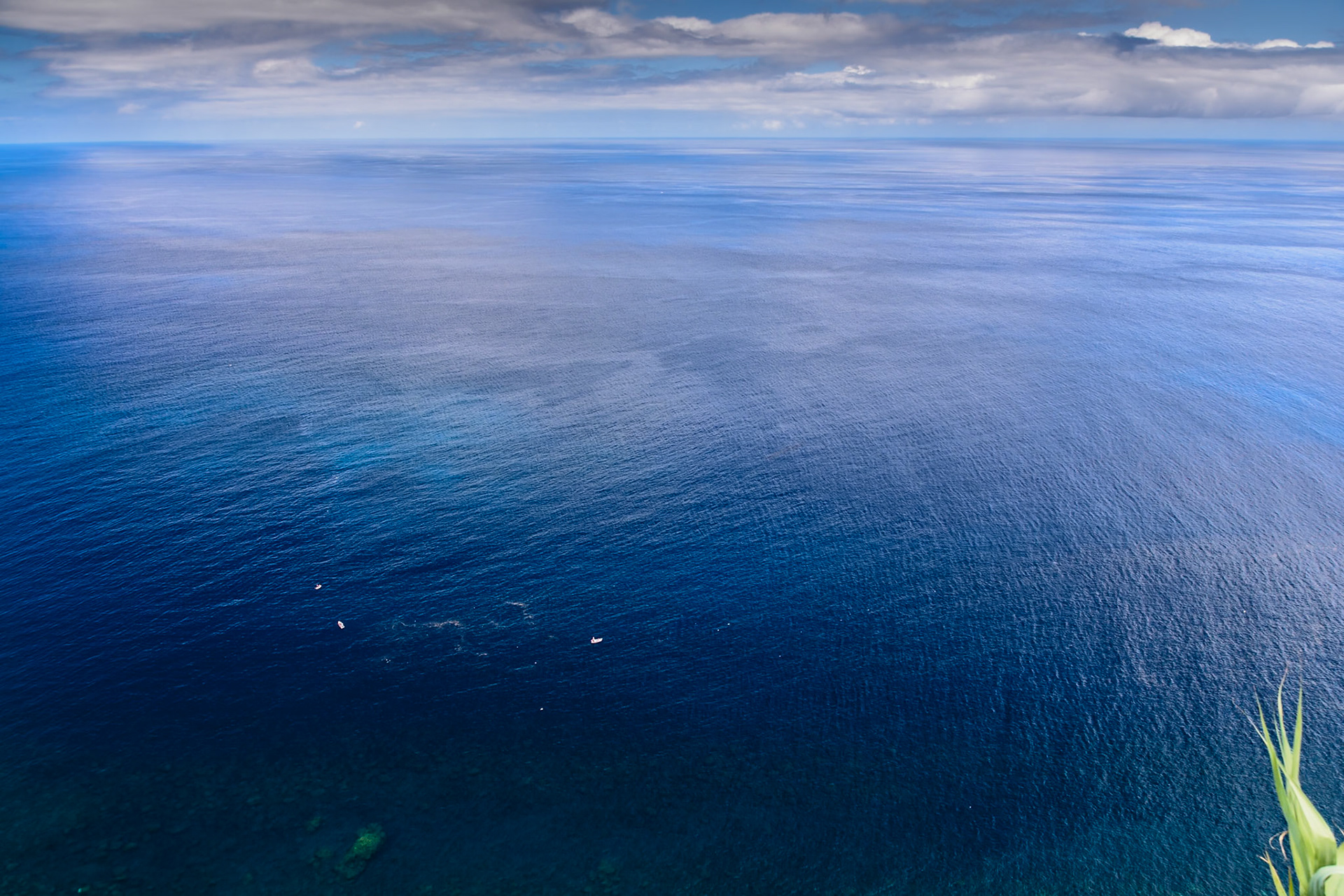 In und bei Nordeste (Ostküste Sao Miguel - Azoren)