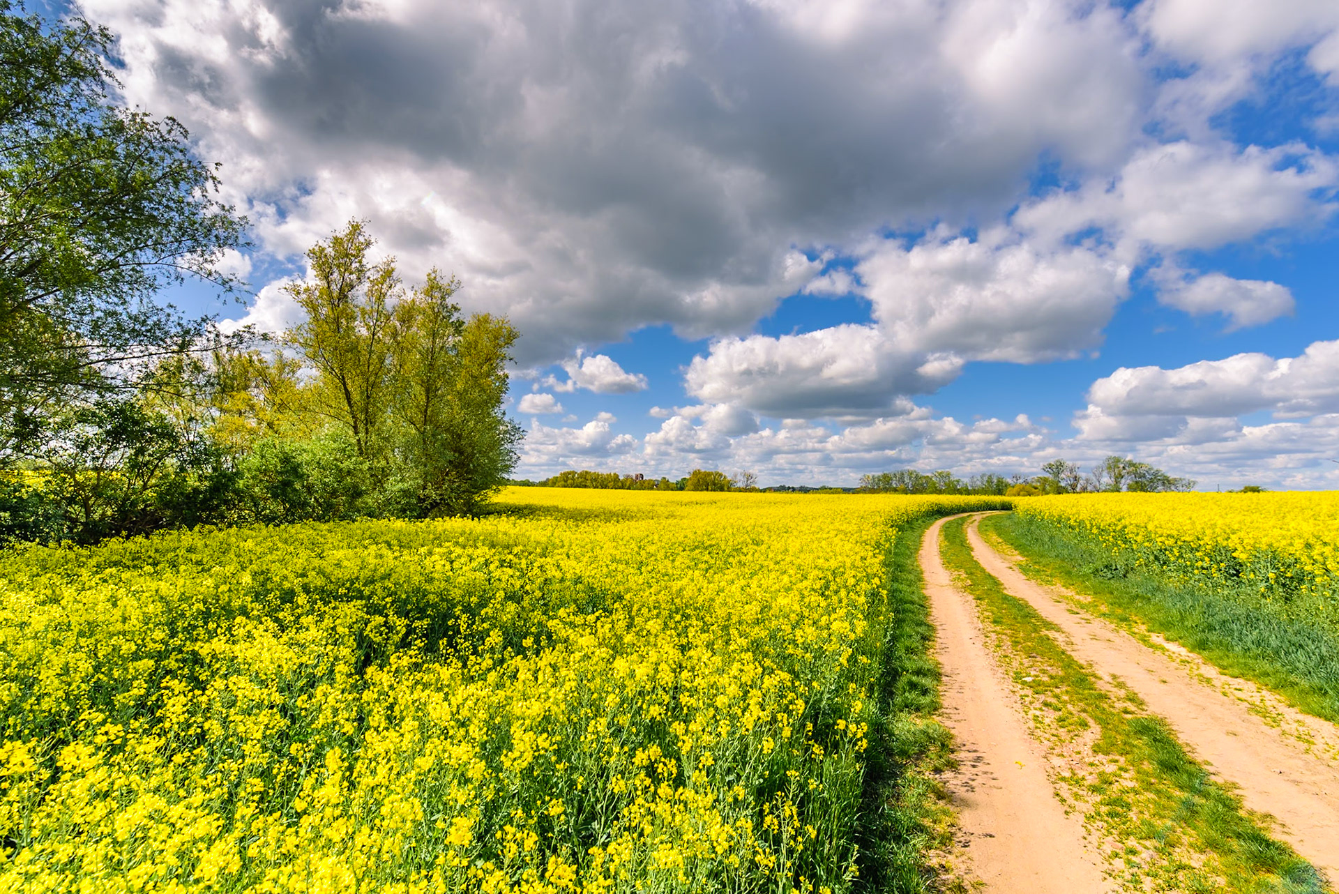 Frühling in der Uckermark bei Gramzow