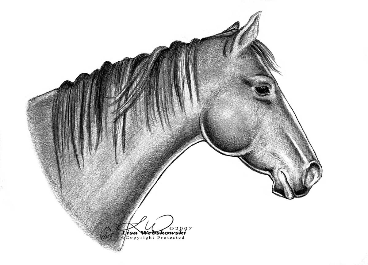 10"x8", not available