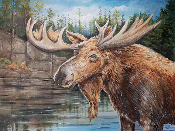 40"x30", North Shore Moose, Available