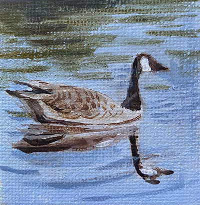 2"x2", Canada Goose, Available