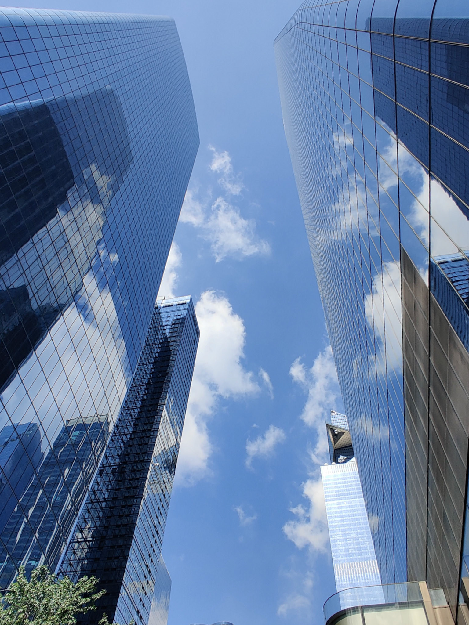 Las líneas ascendentes y los reflejos del cielo fusionan arquitectura y atmósfera en una sola composición.