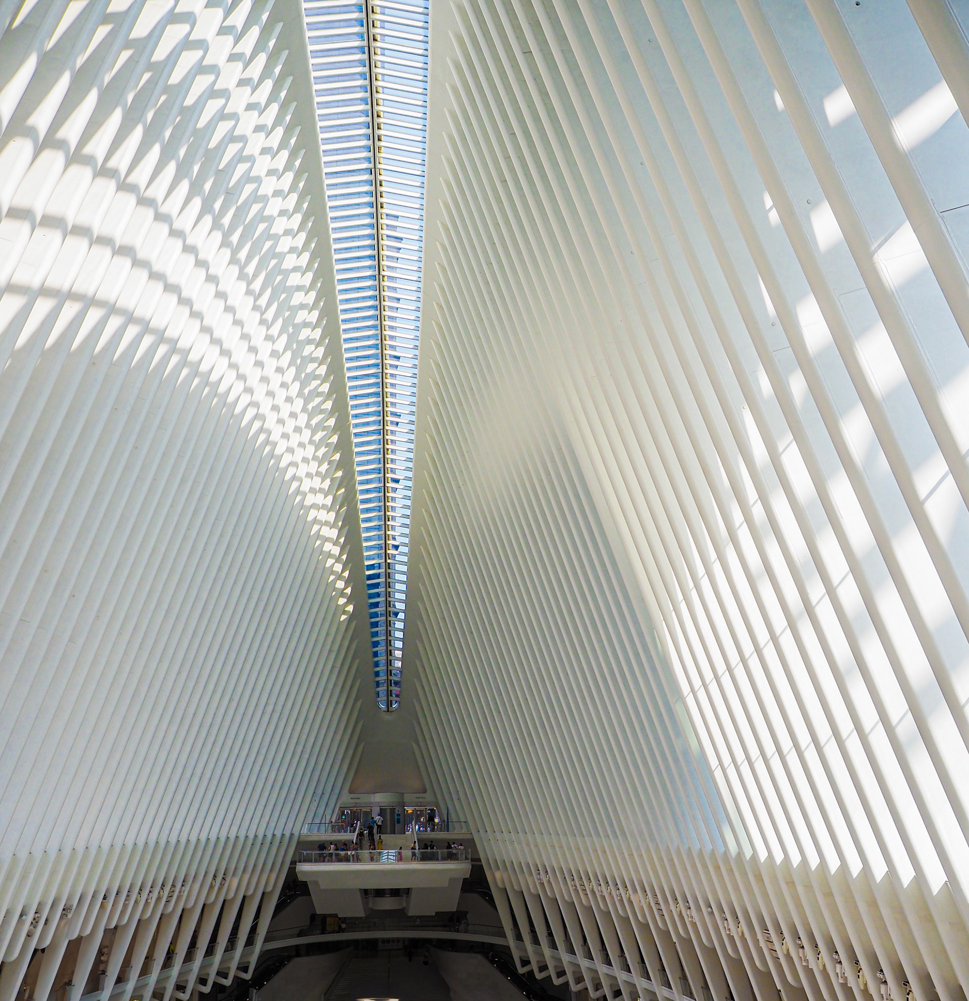 La luz se filtra entre costillas de acero, convirtiendo el espacio en un templo de movimiento y modernidad.