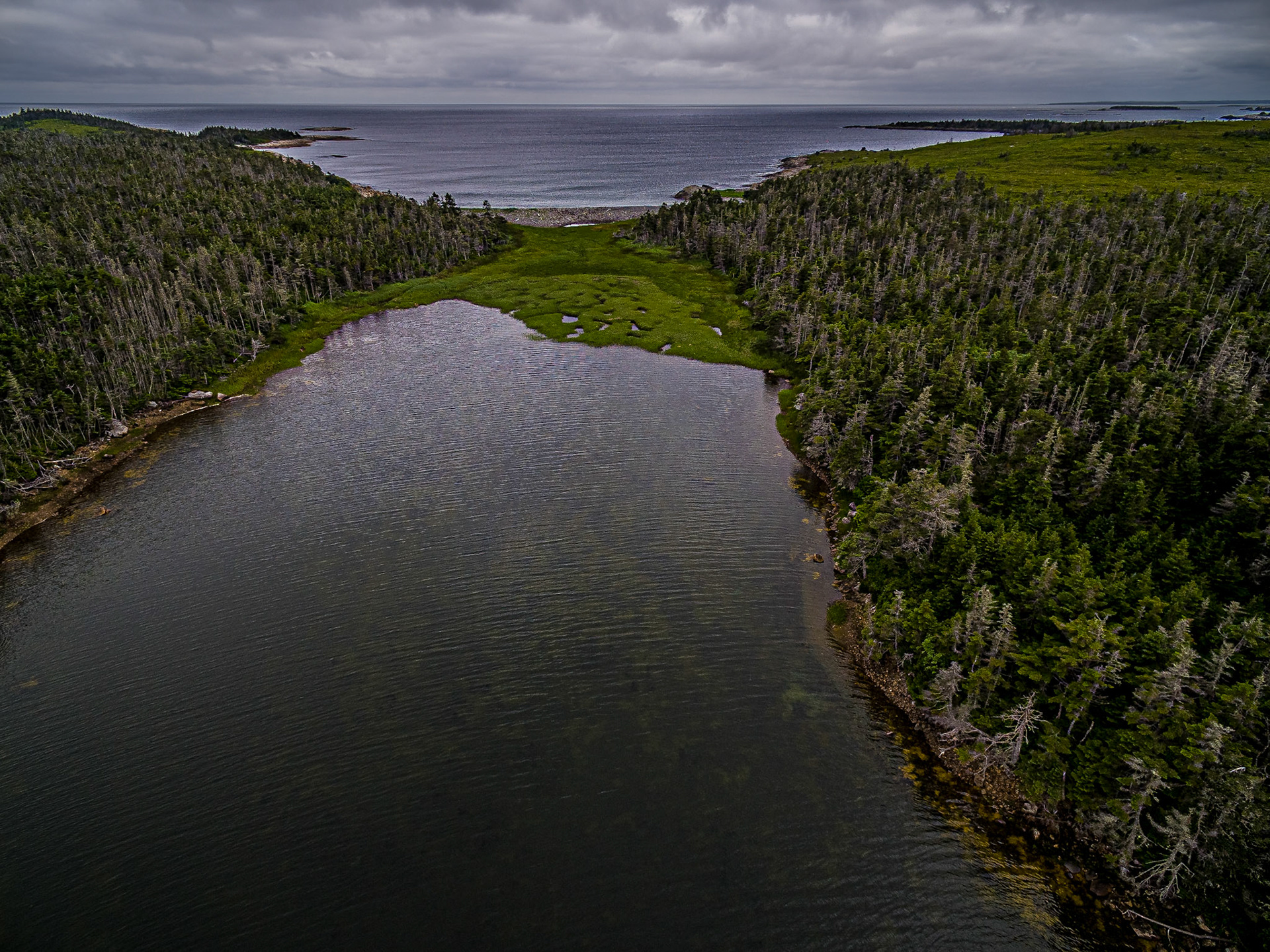 Pebble Beach