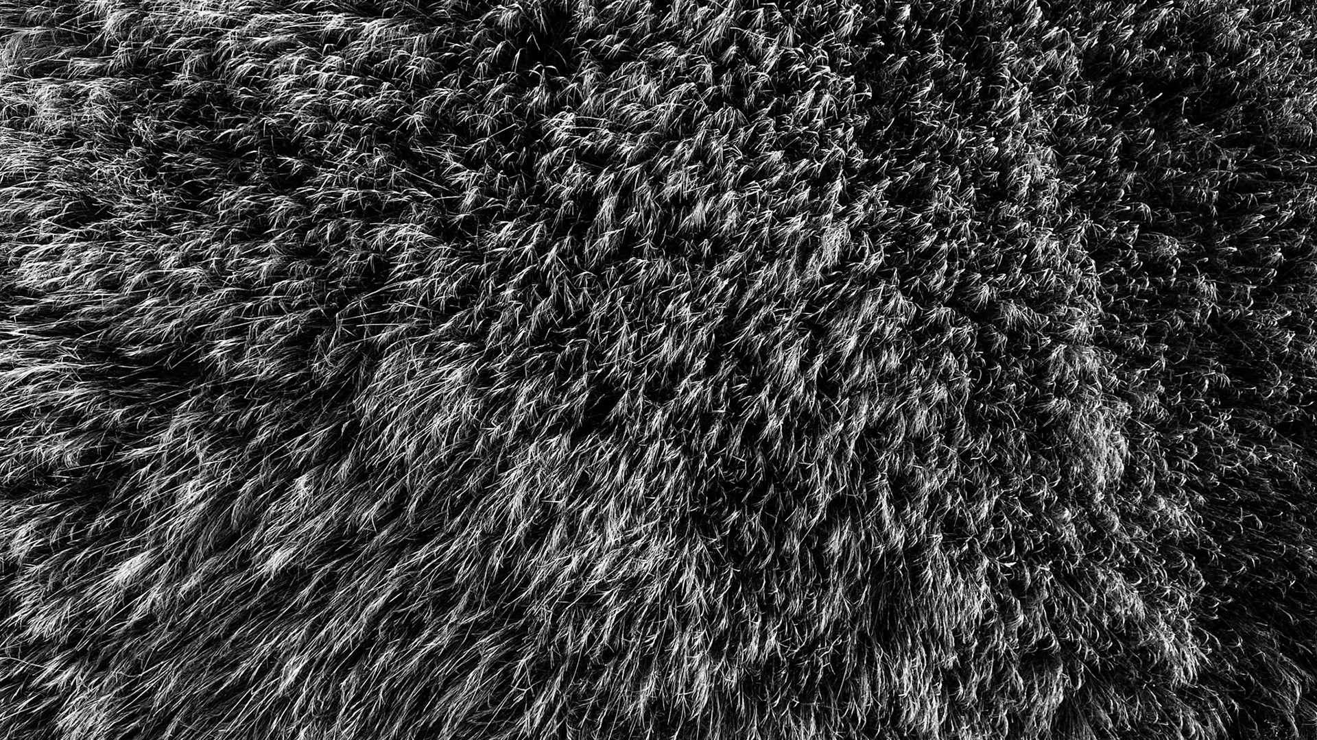 DCIM\100MEDIA\DJI_0010.JPG