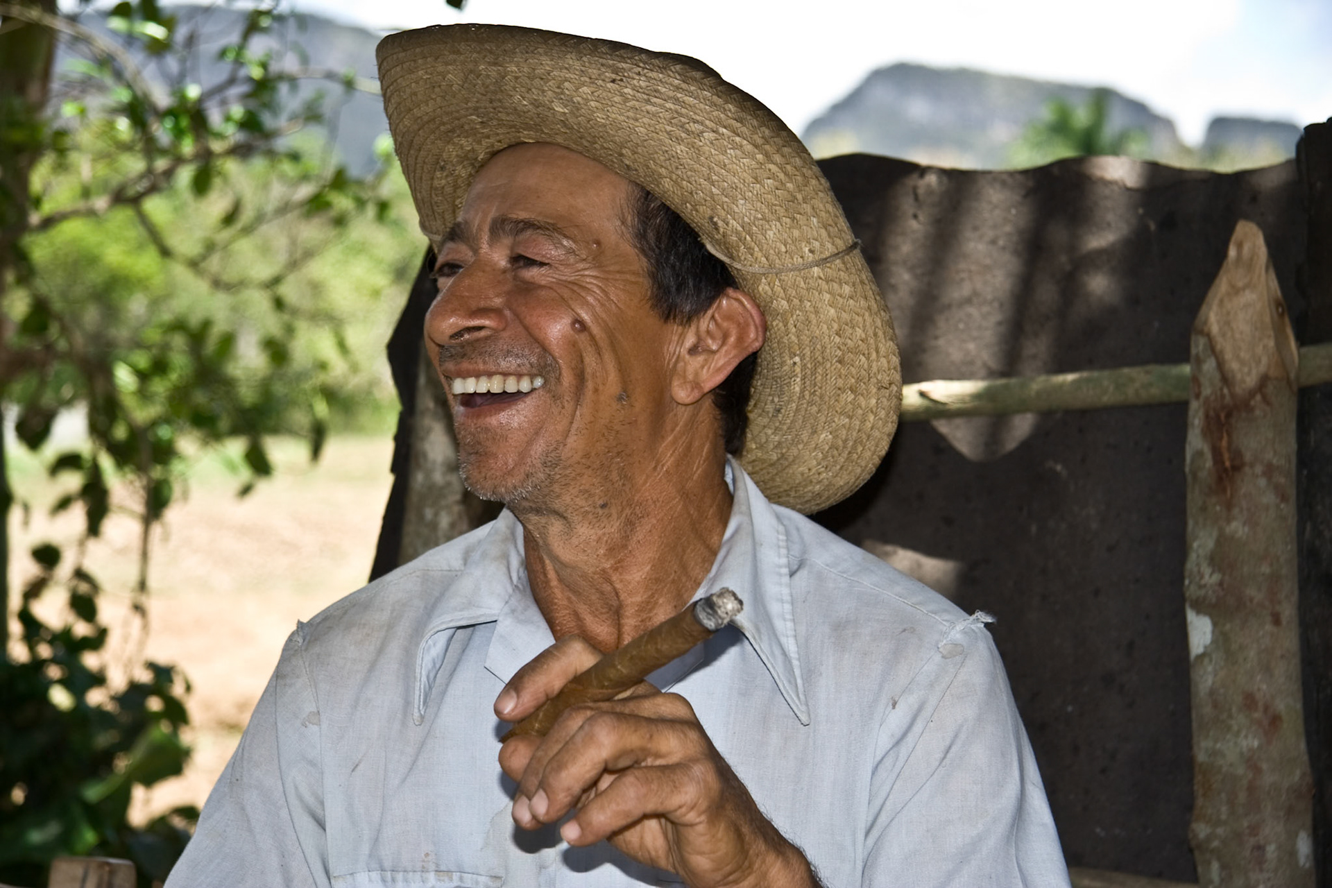 Cigar farmer