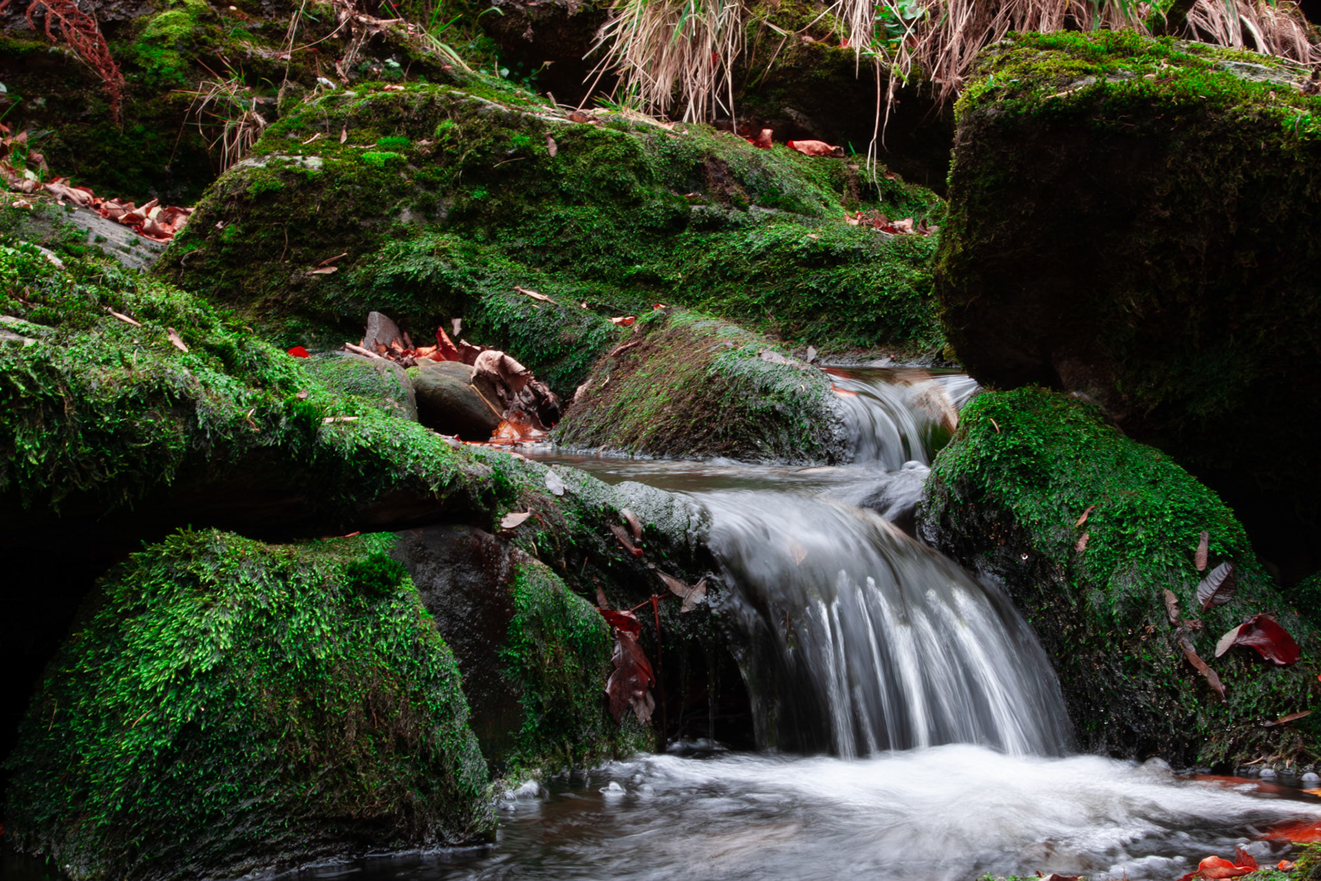 Et lite fossefall / A small waterfall