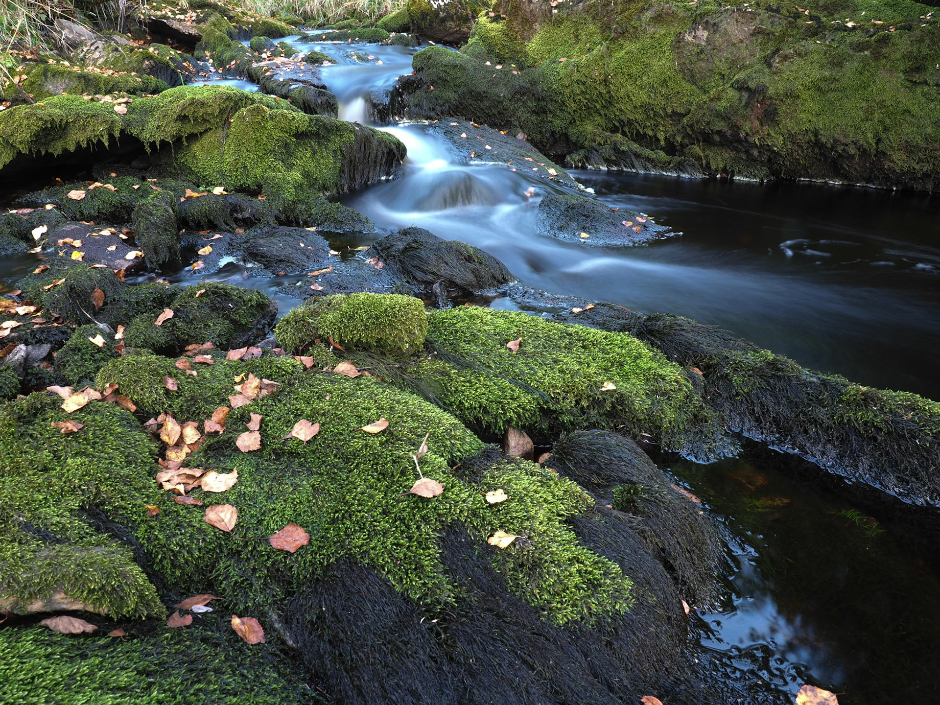 En liten elv / A small river