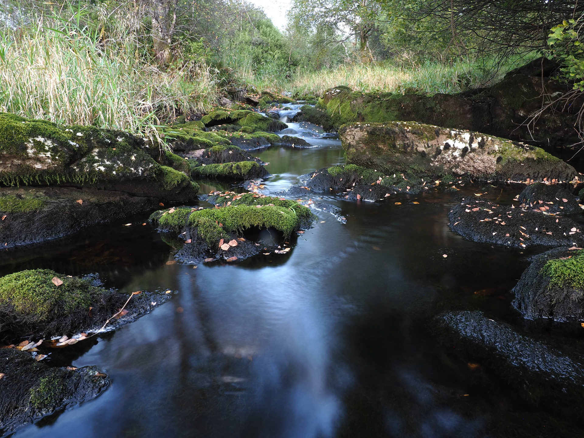 En liten elv / A small river