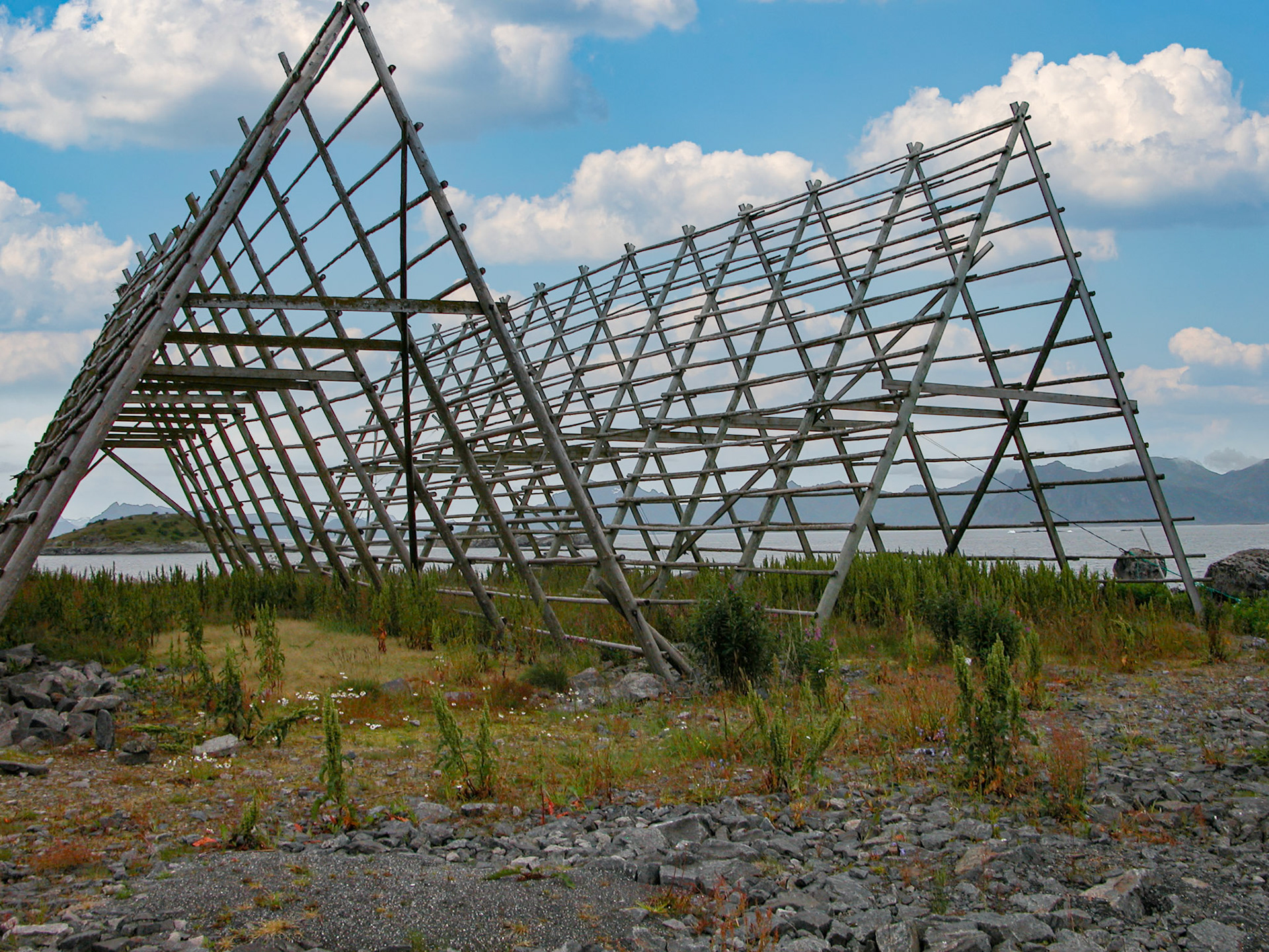 Fish shelves in Lofoten