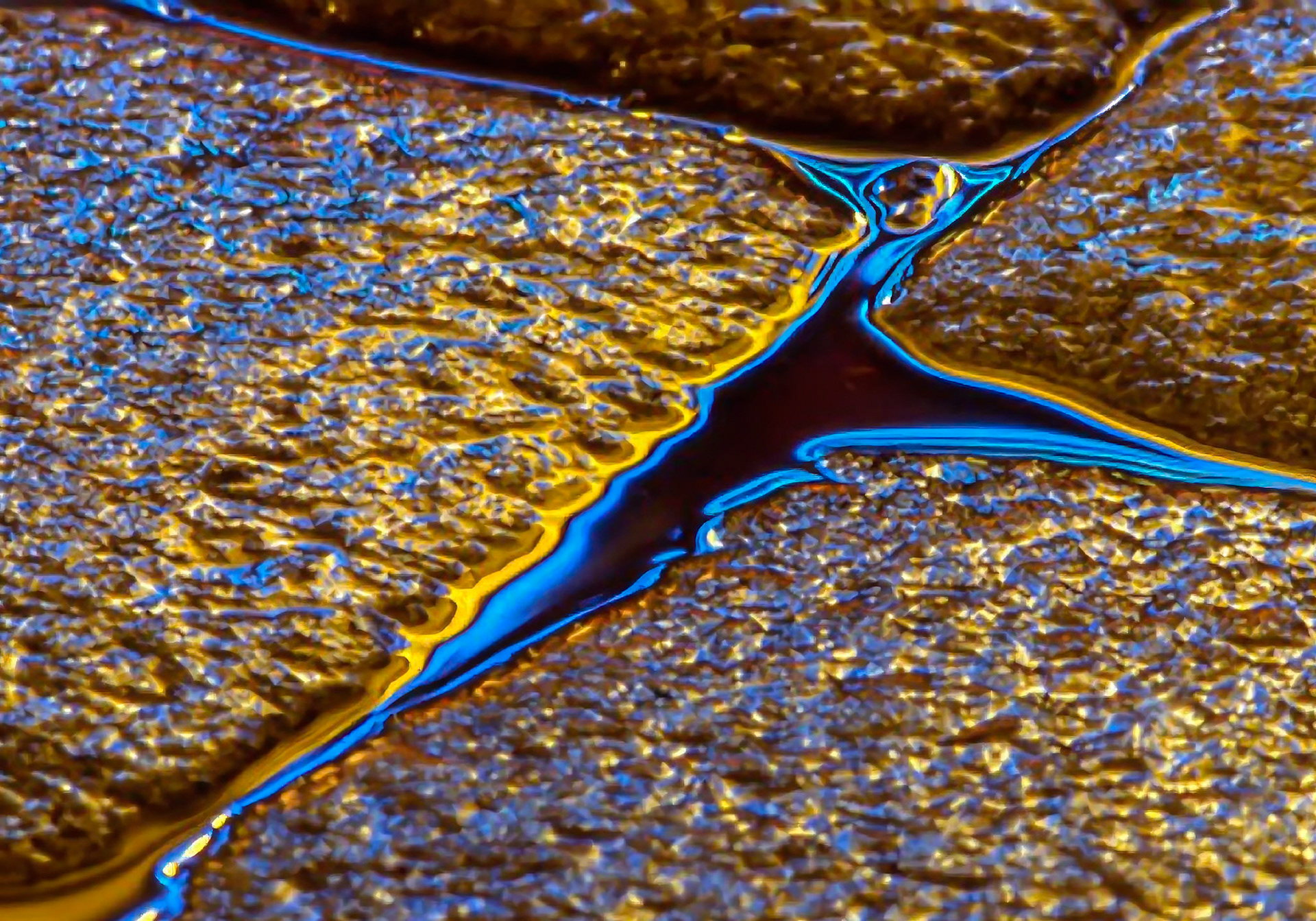 Refleksjoner / Reflections