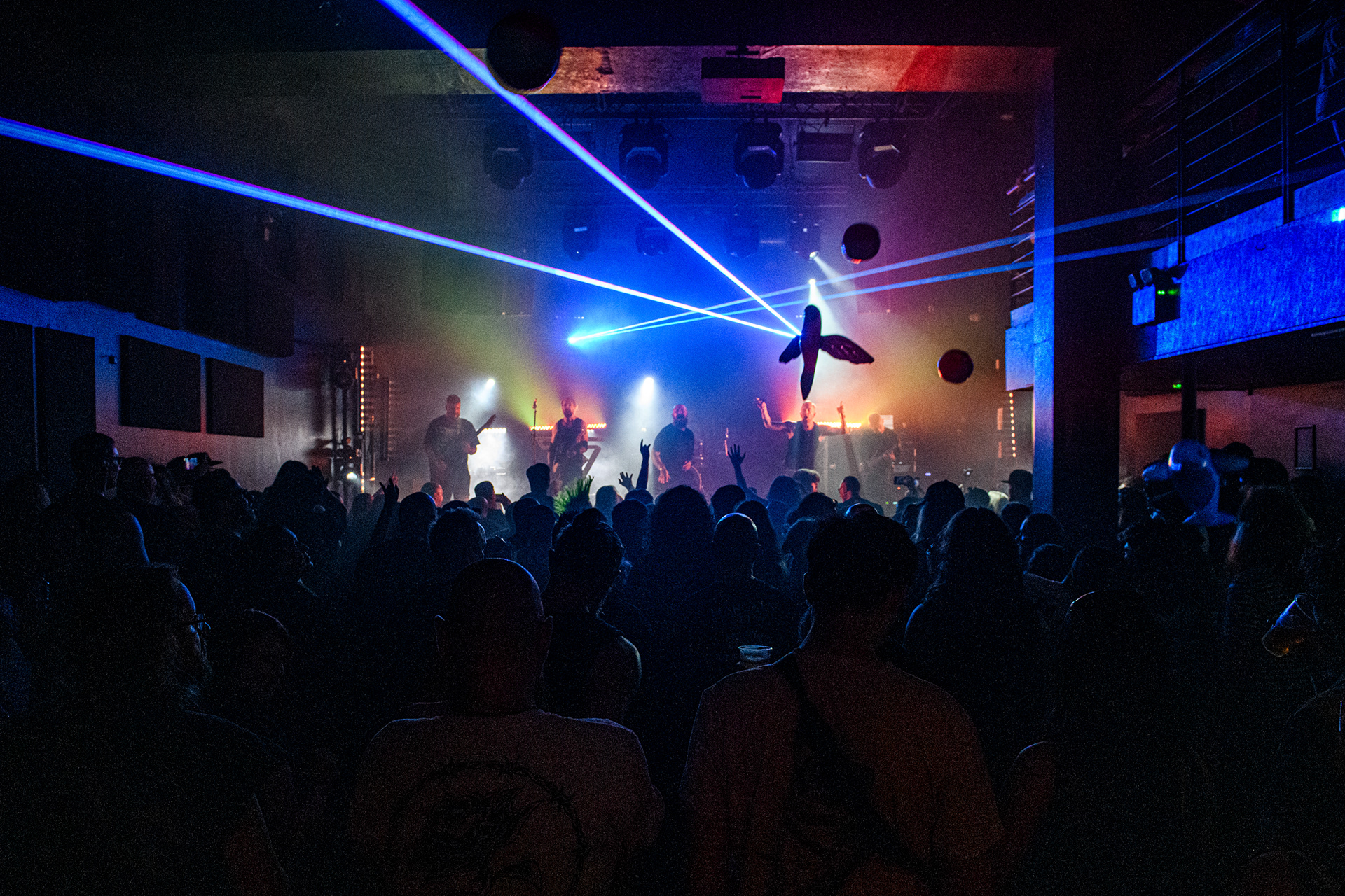 Seething Akira @ Mangata Fest