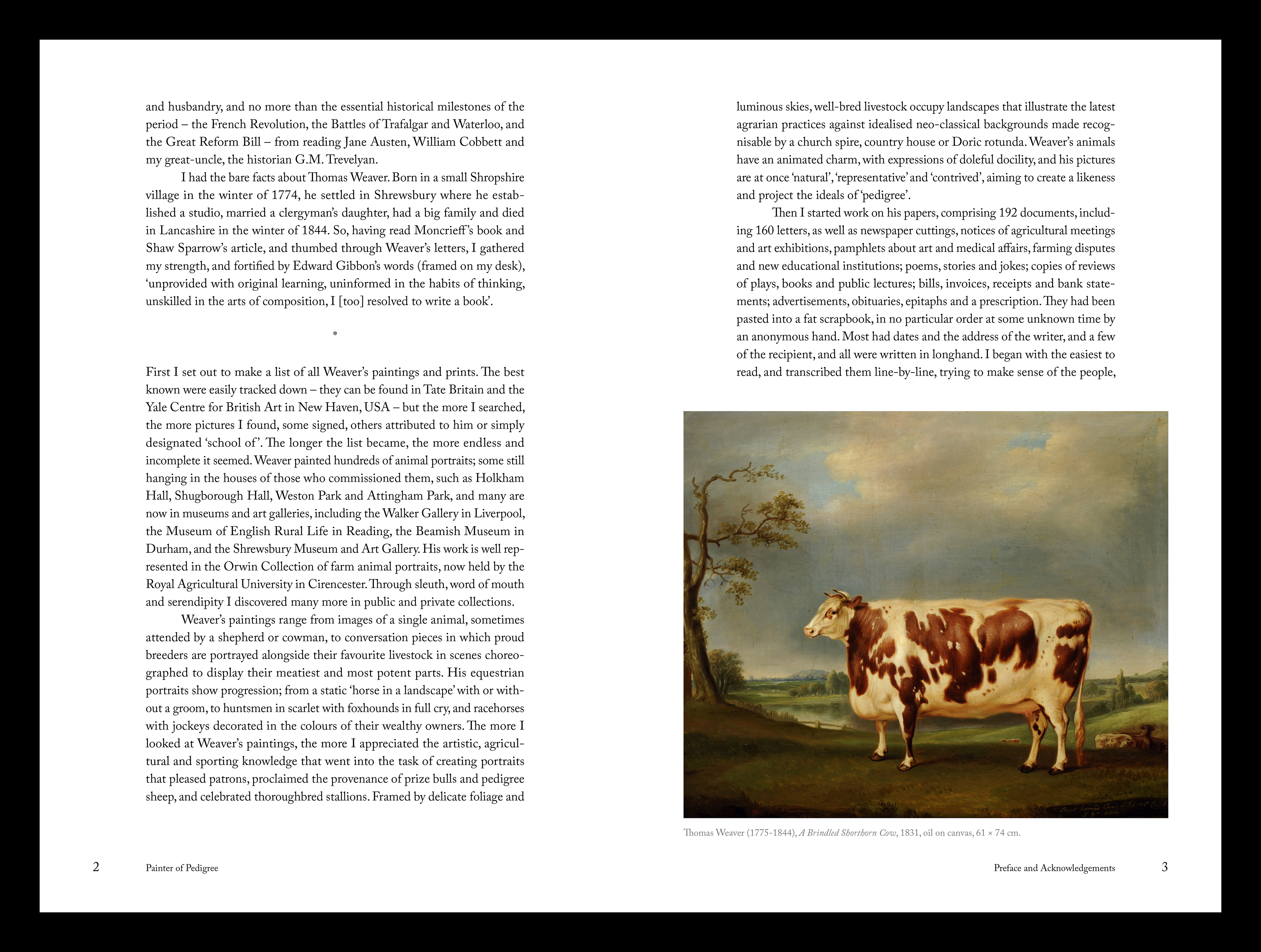 Painter of Pedigree spread 3