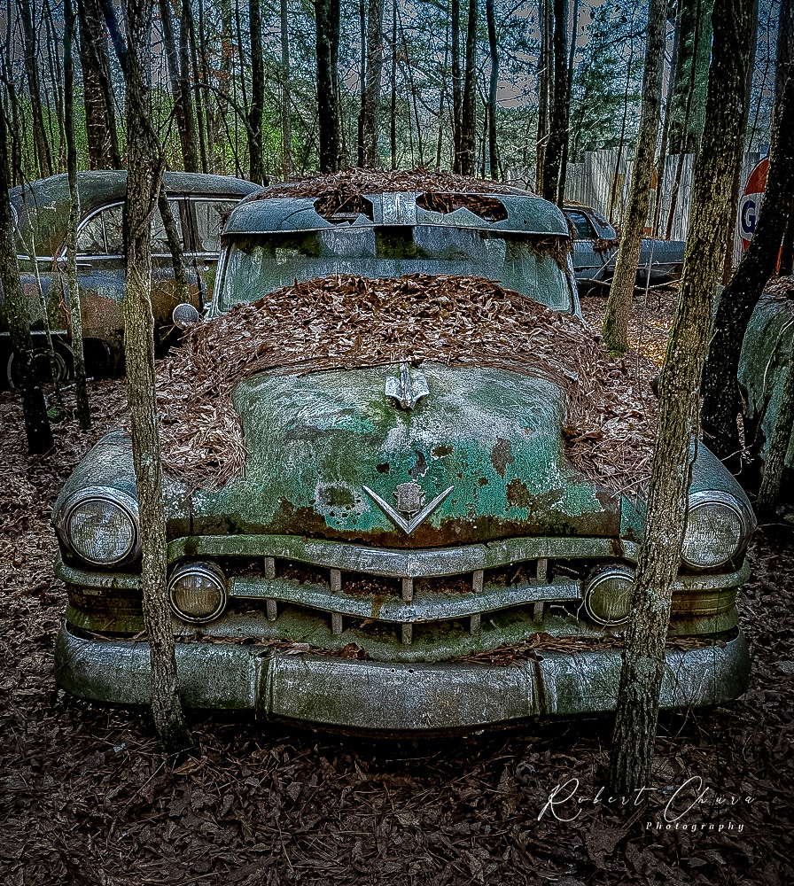 In the Woods