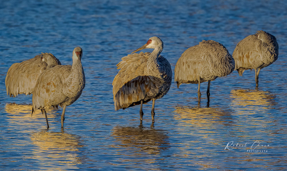 Early Morning Meeting