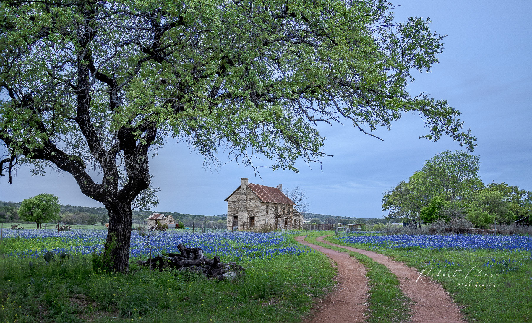 Bluebonnnet House, side View