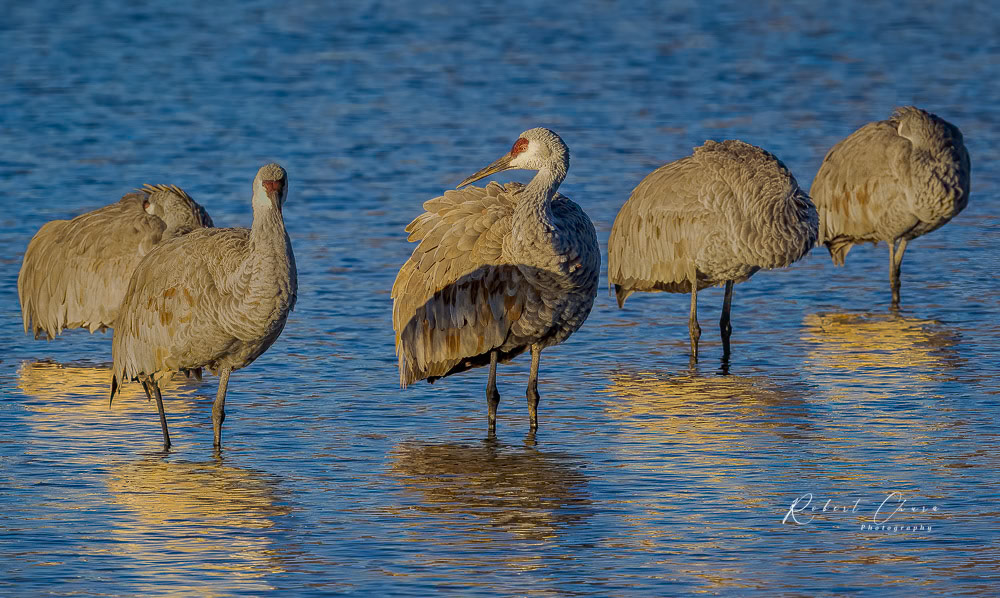 Early Morning Meeting