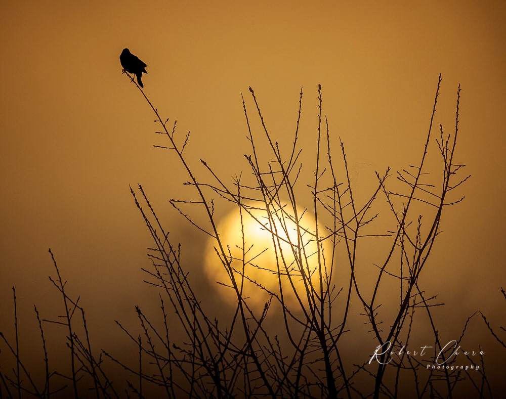 Morning at The Drying Beds