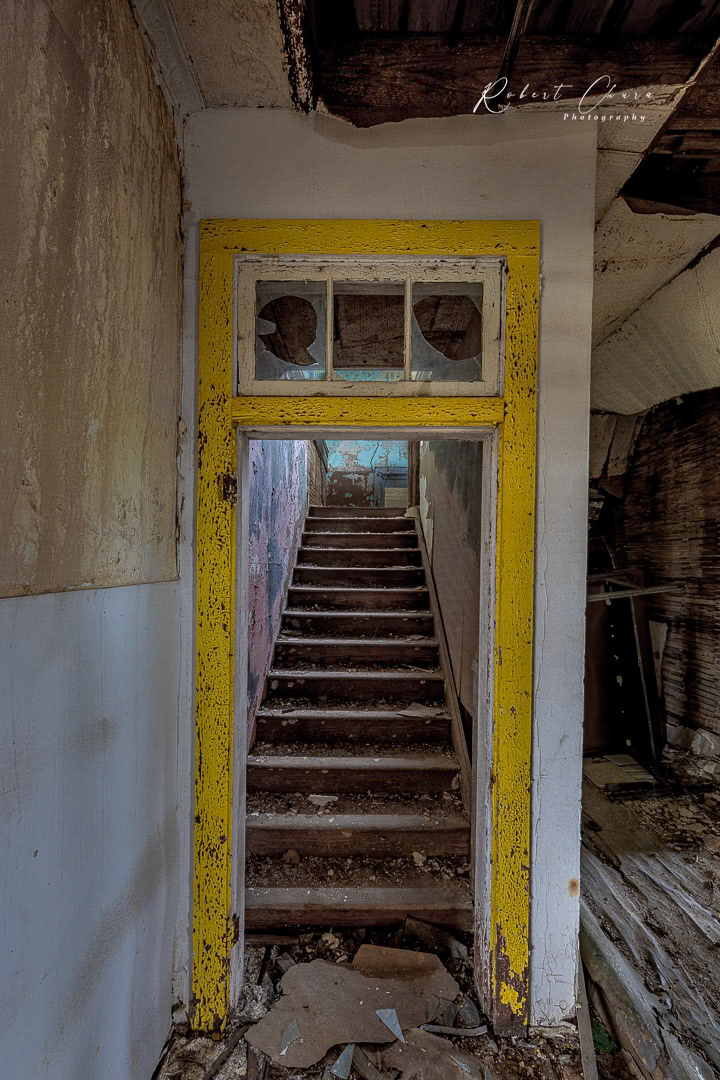 Yellow-trimmed Satirway