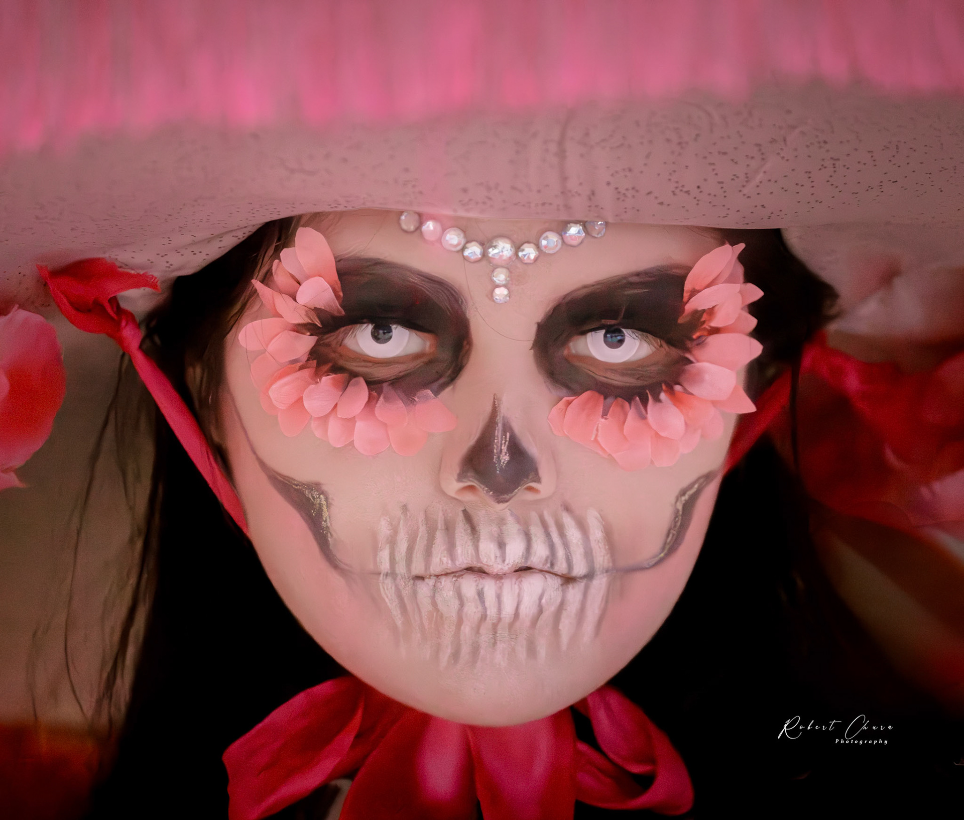 Here's Looking at you