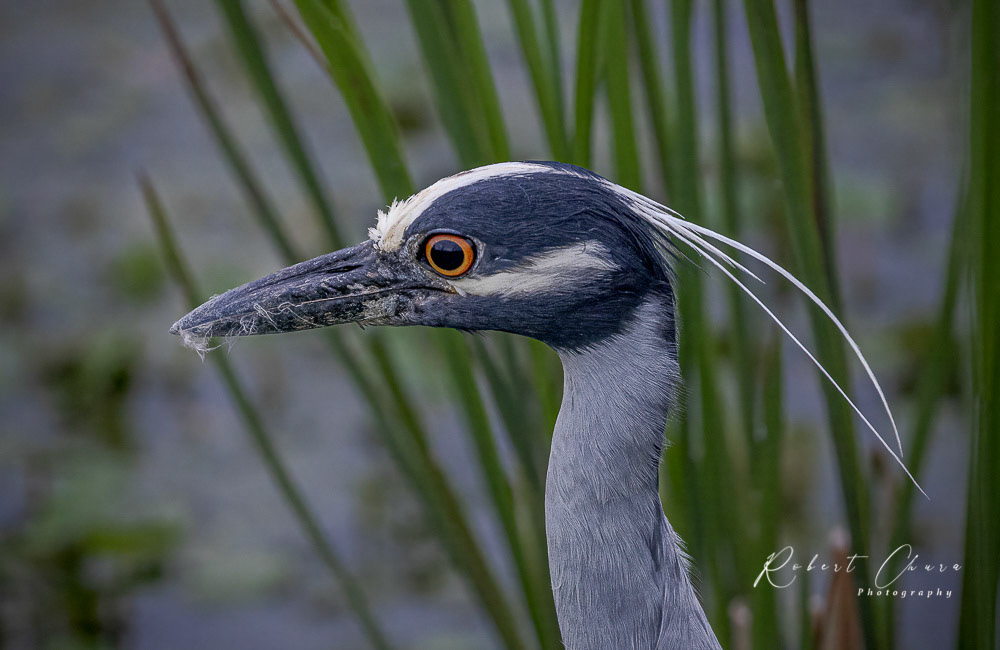 The Eye of the Storm