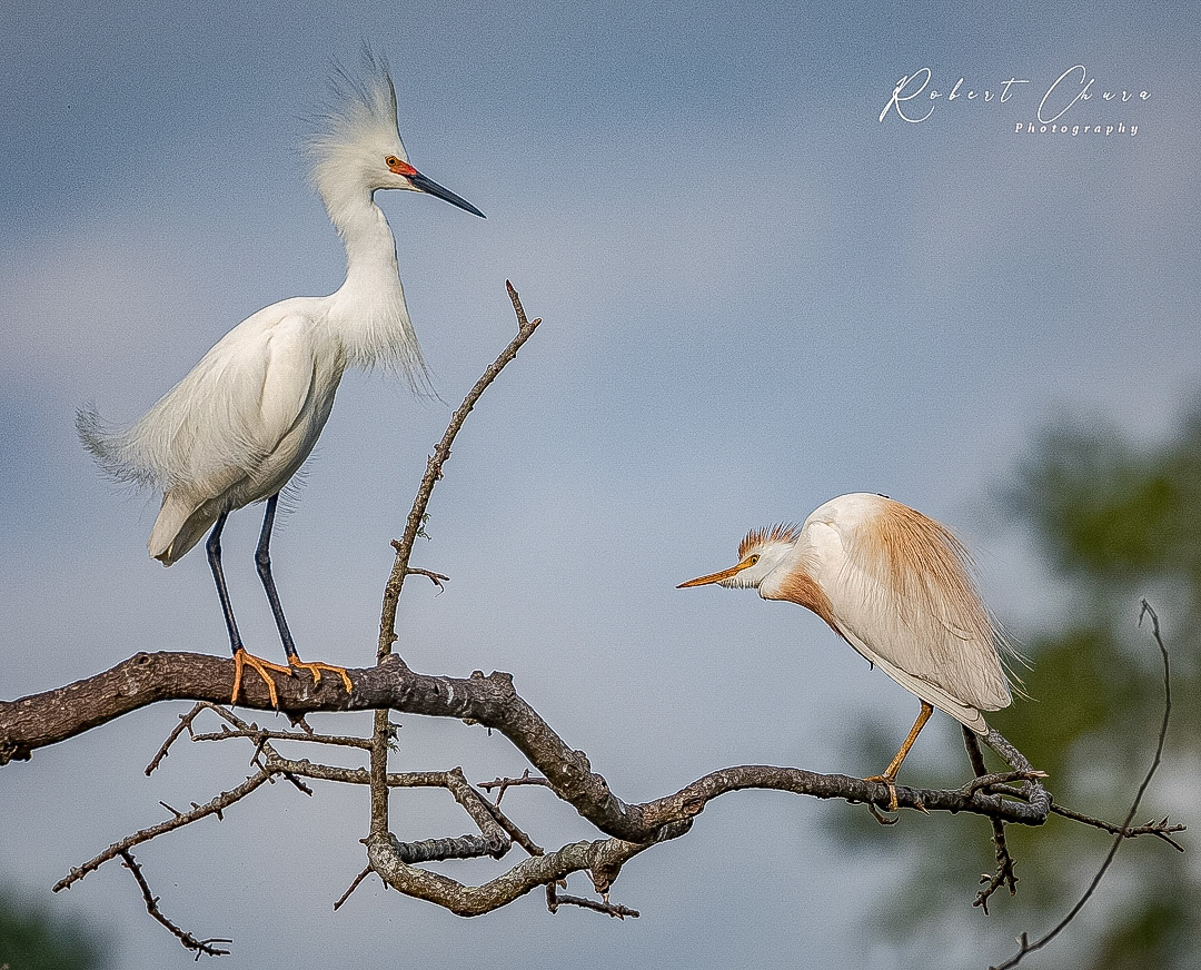 Everybody has their Ups and Downs