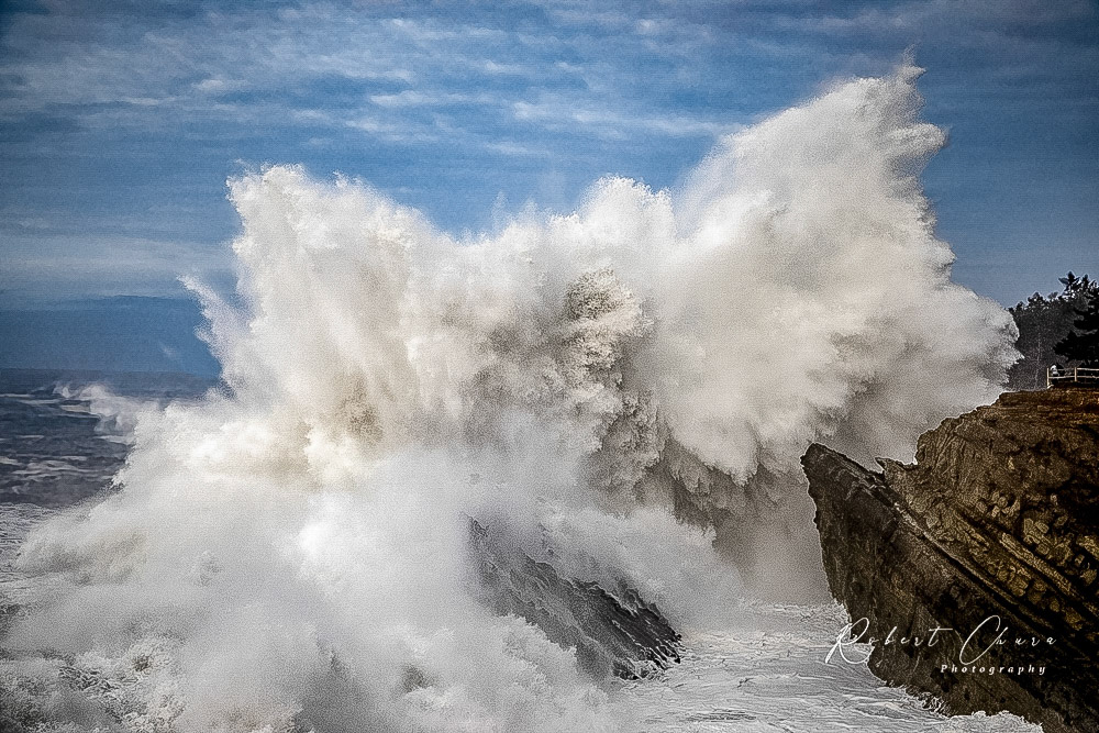 Shore Acres Wave 3271