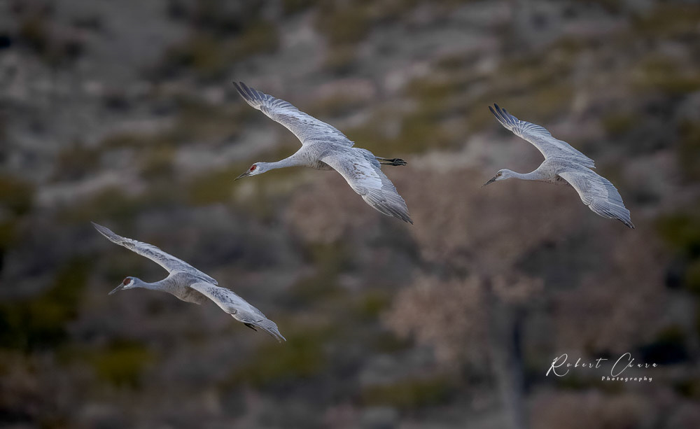 Three in Descent