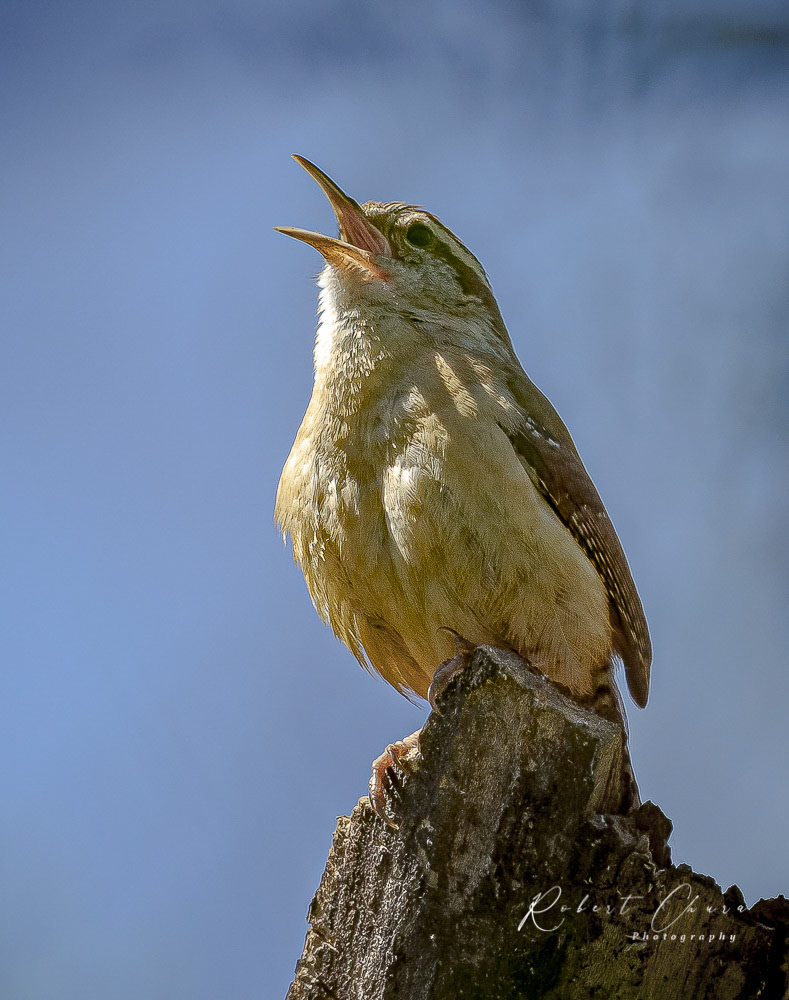 Looking for a Friend