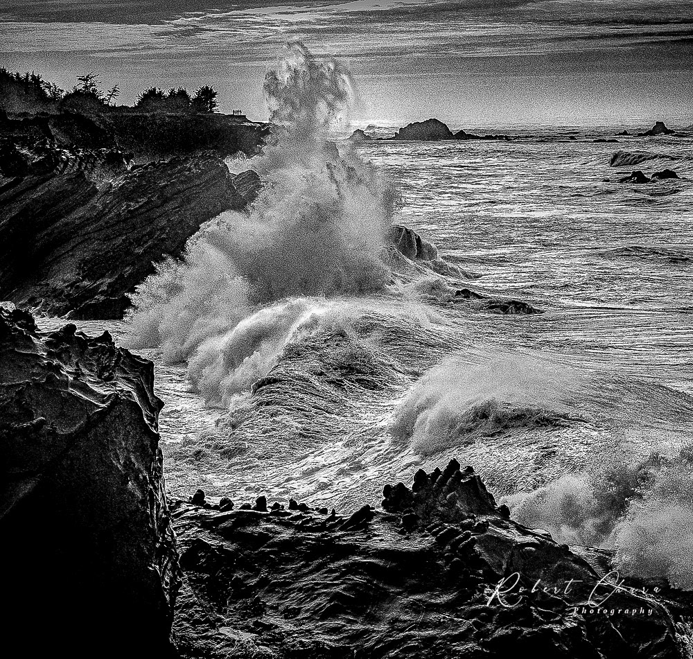 Small Wave near Shore Acres