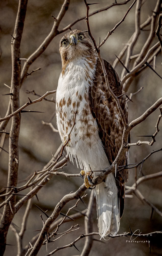 What are you looking at?