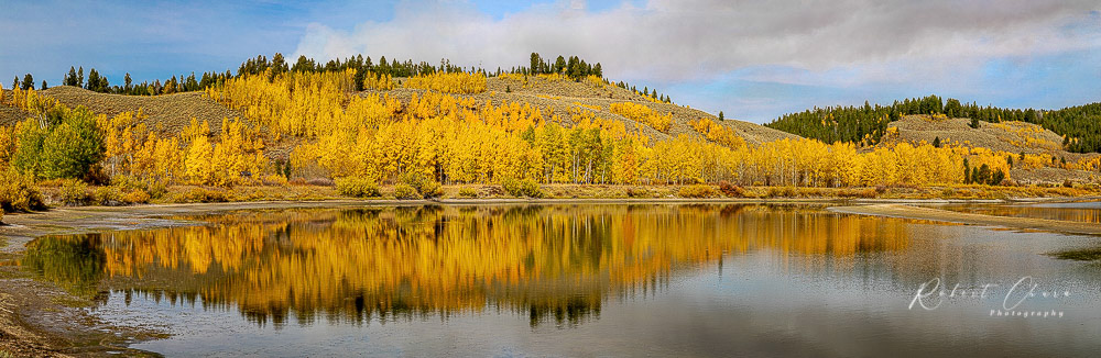 Fall Mirror